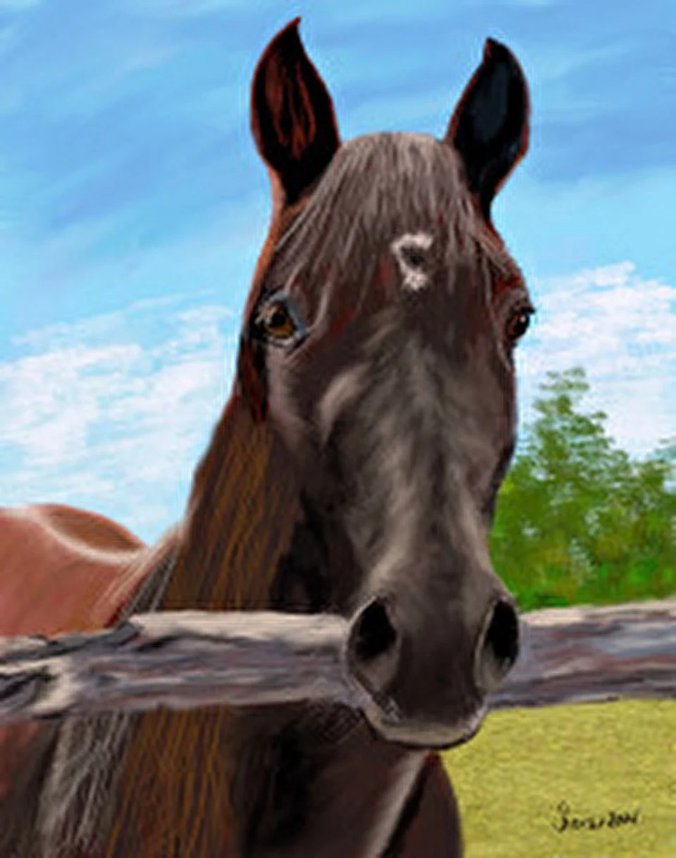 Digital Painting Using Procreate with Susan Reich