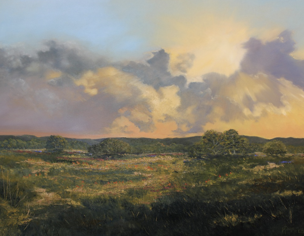 Hill Country Horizons: A 3-Day Start-to-Finish Landscape Intensive (Day 3)