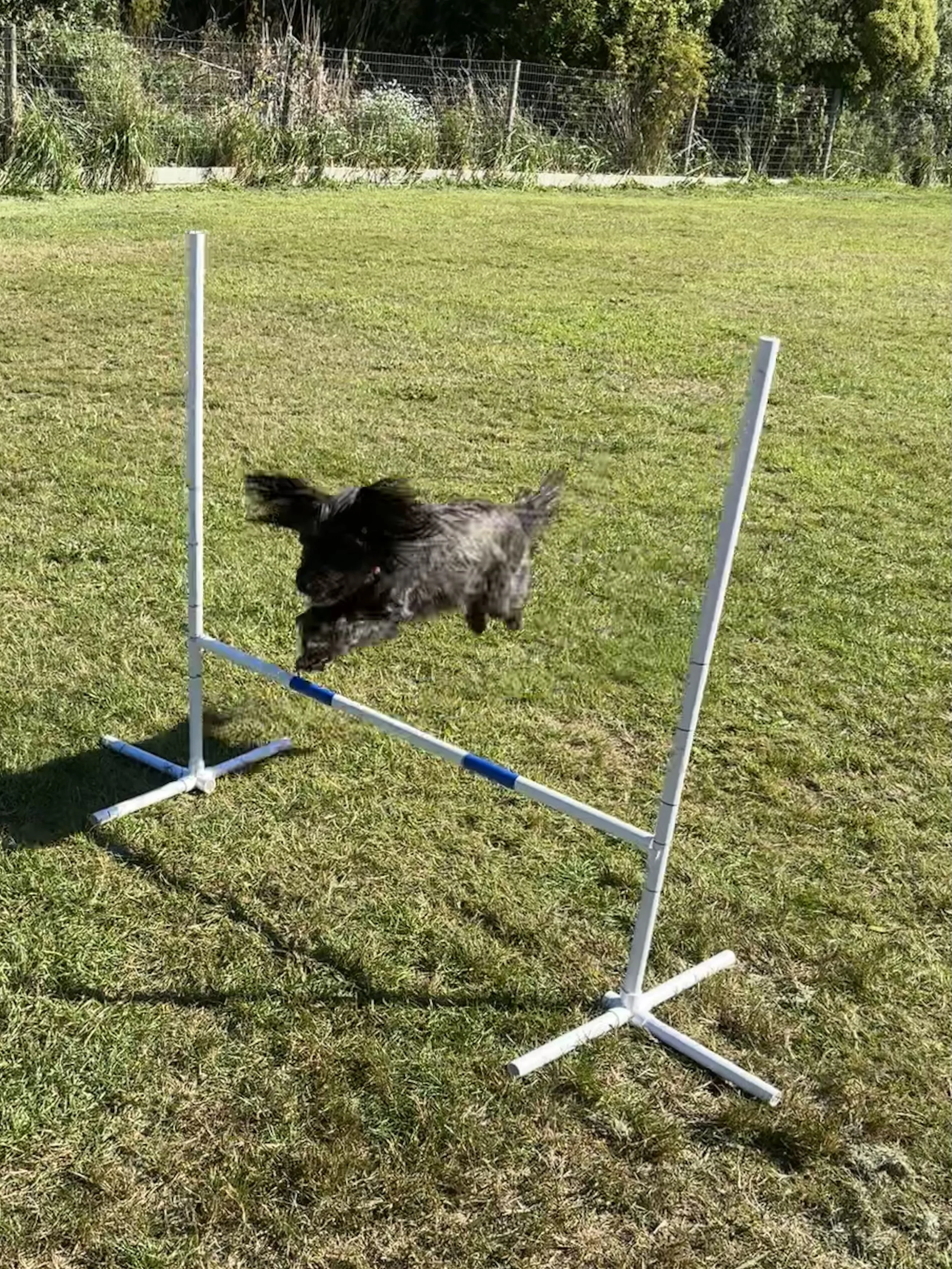 Portable PVC Dog Agility Jump Set