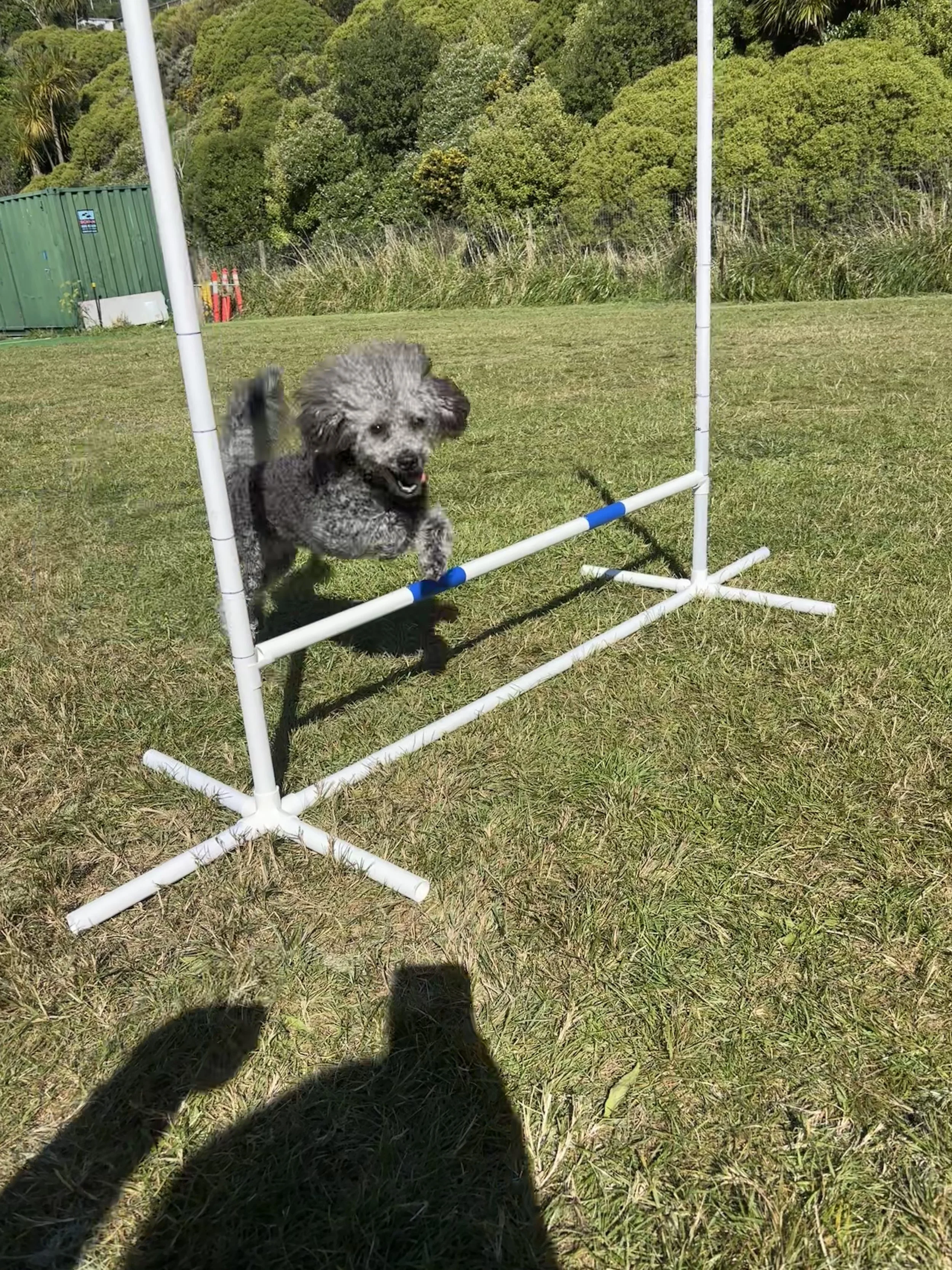 2 Portable PVC Dog Agility Jump Set