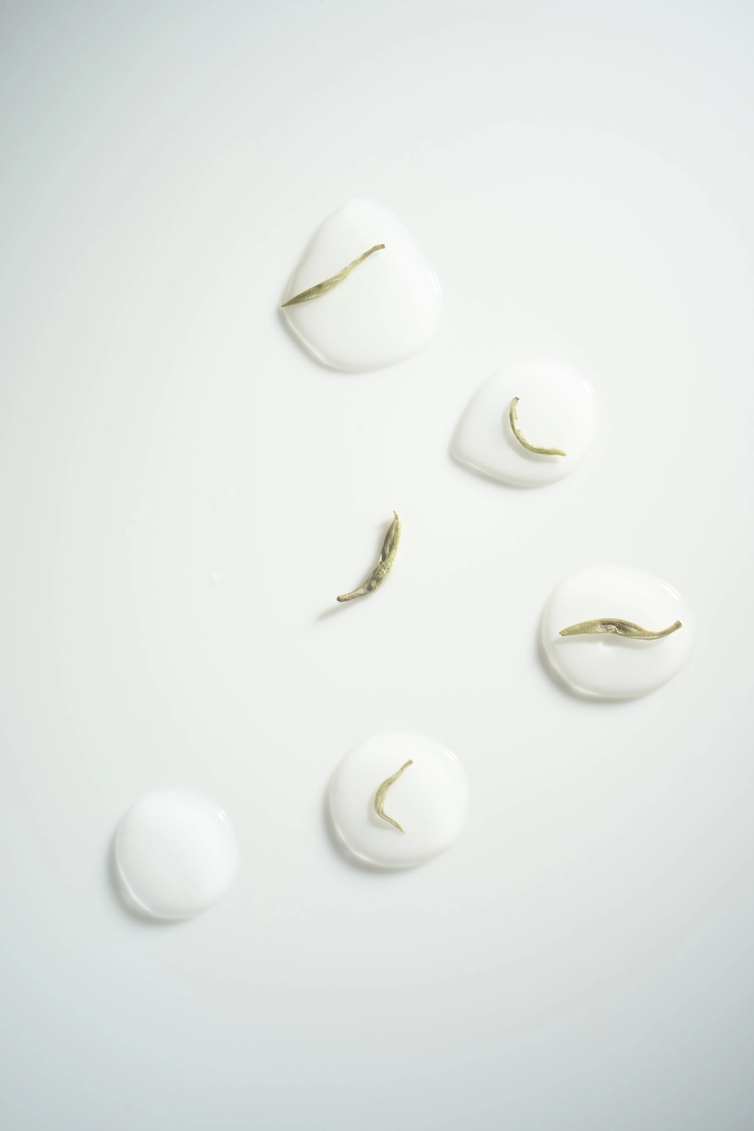 White surface with clear puddles of water and small green tea leaves scattered on top.