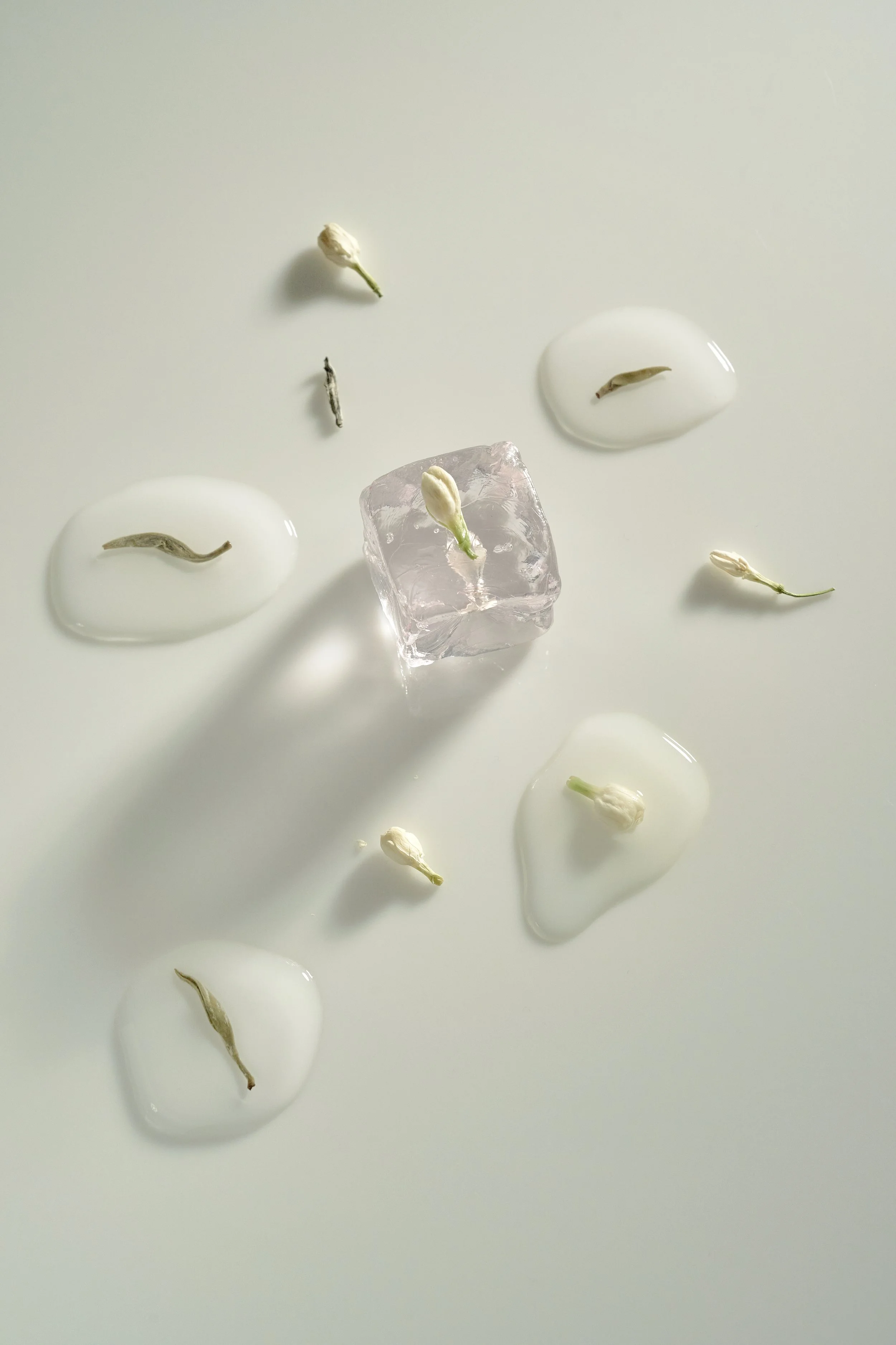 White surface with scattered small white jasmine flower buds, two clear puddles of water, and a clear ice cube.
