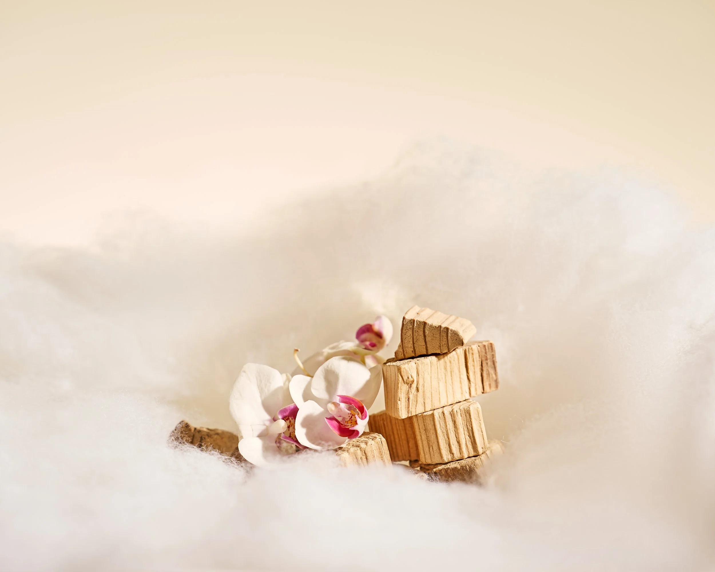 Close-up of a small arrangement of pink and white flowers, wooden blocks, and cotton on a beige background.