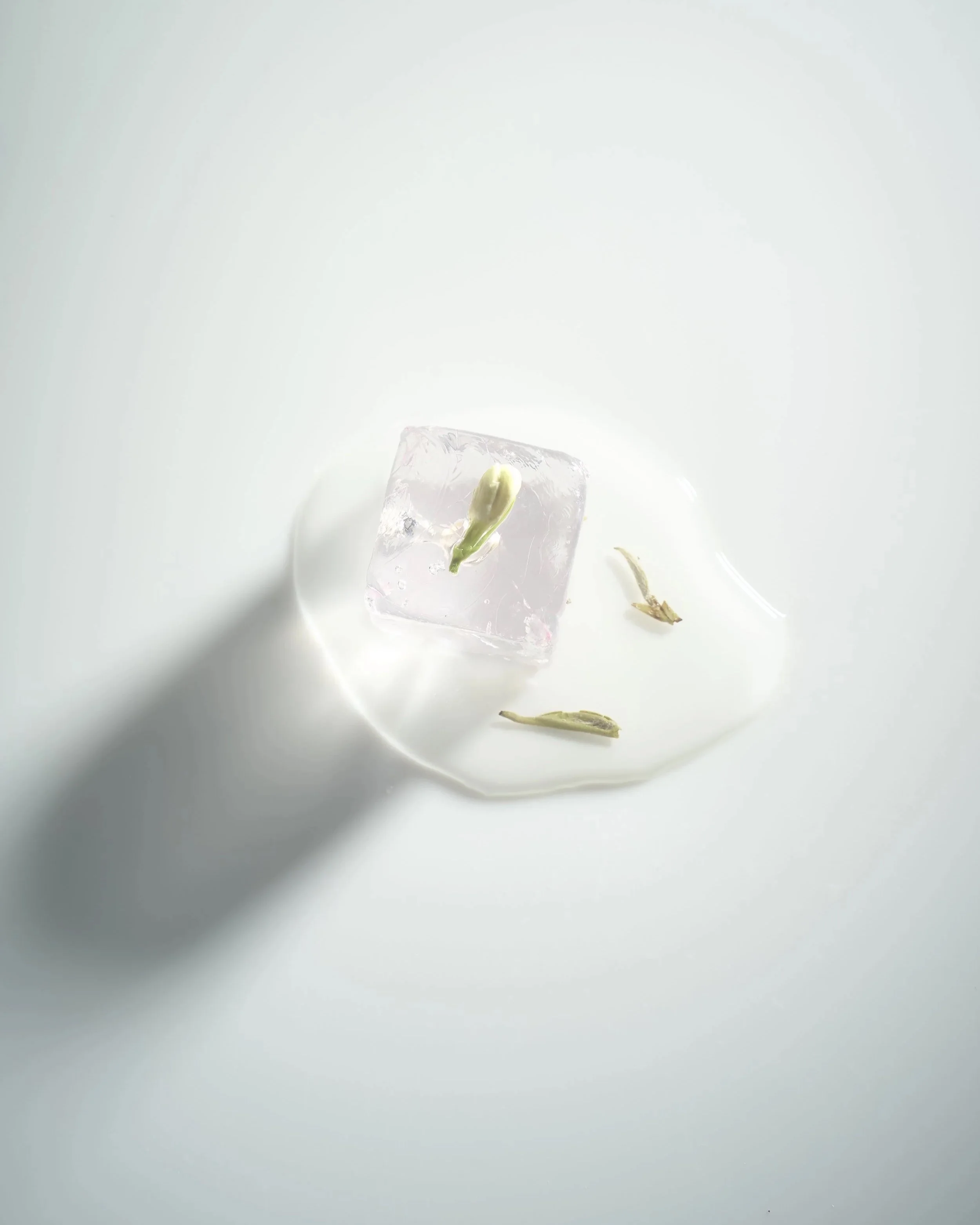 A small plant cutting submerged in a glass of water with ice, on a white surface.