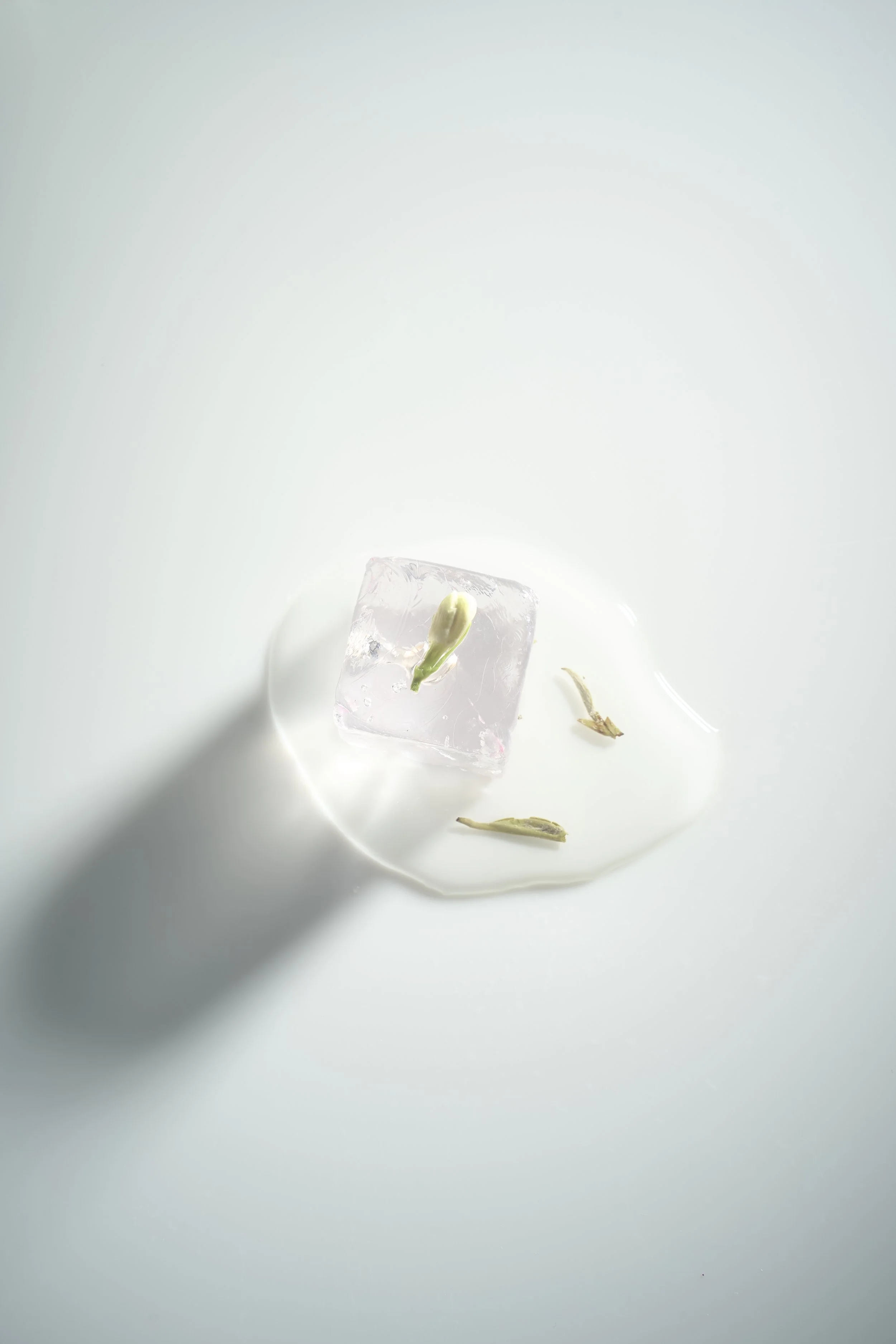 A clear ice cube containing a white dried jasmine flower, with a few small tea leaves beside it, on a white surface.