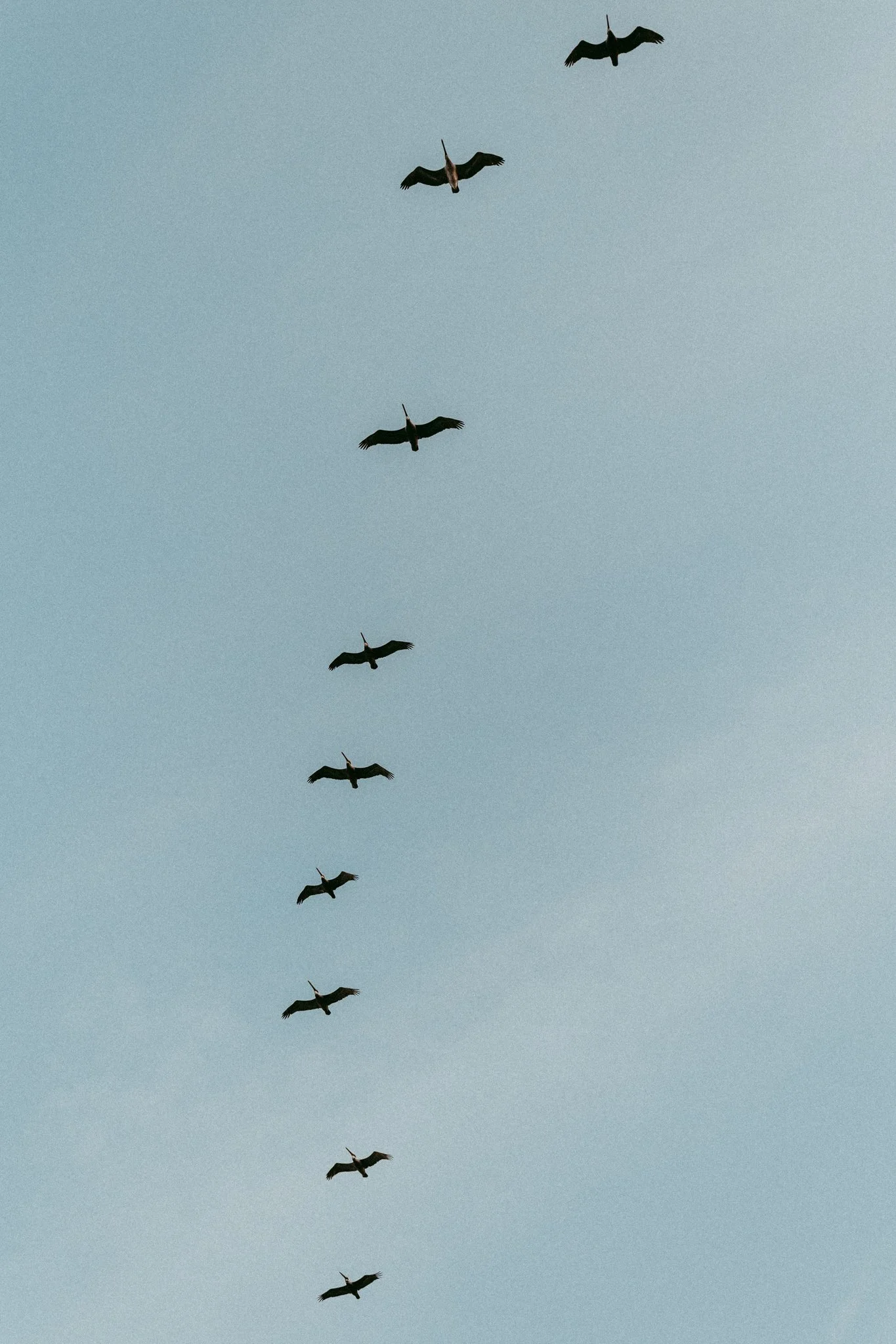 CTR ANNIVERSARY-51.jpg