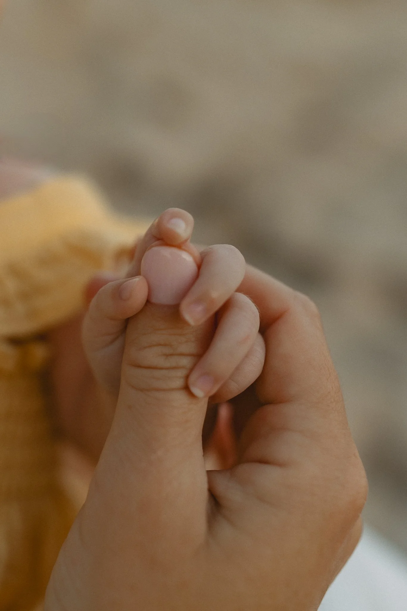 LYNKSEY NEWBORN 2026-16.jpg