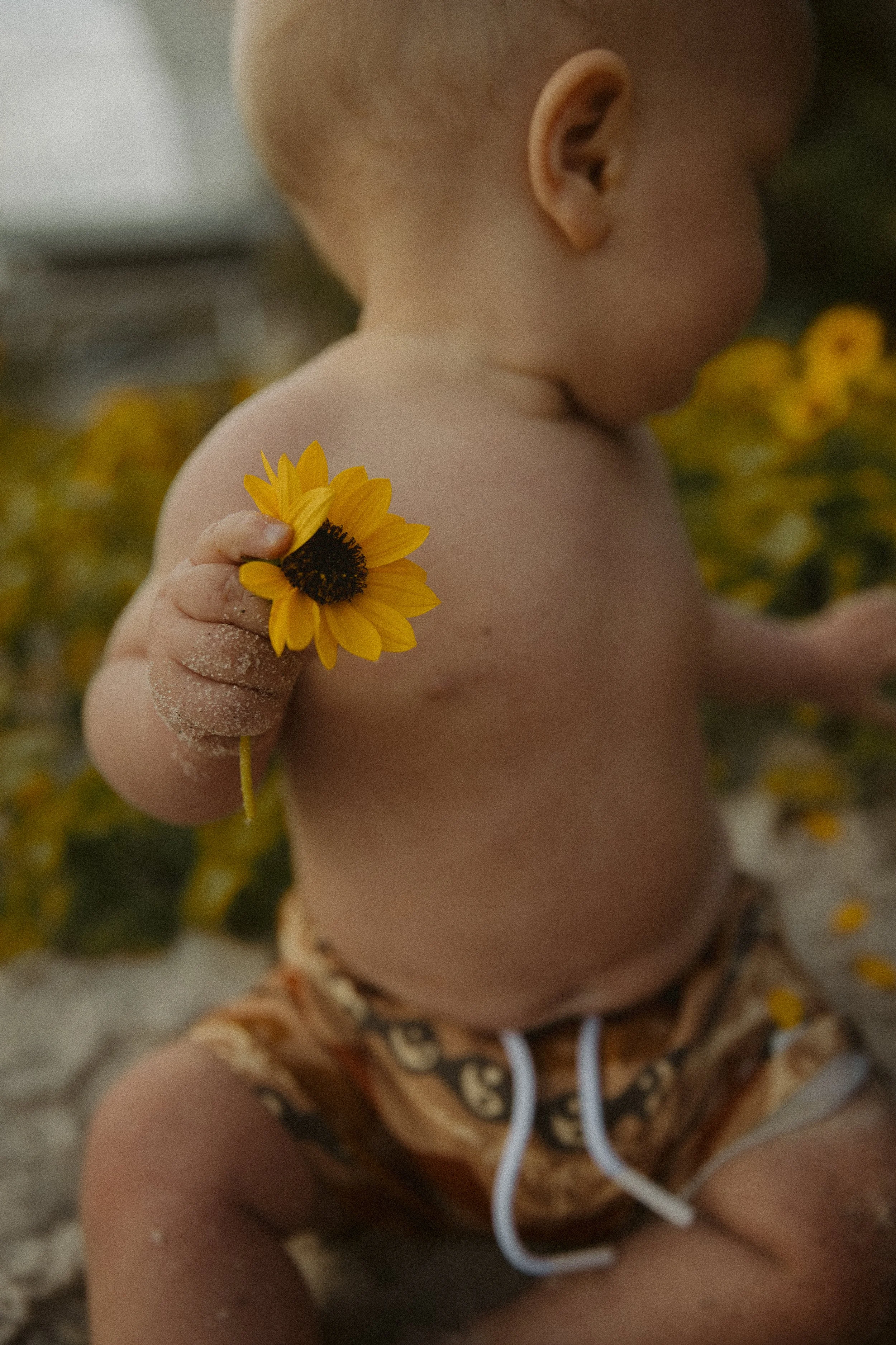 WILDFLOWERS-22.jpg