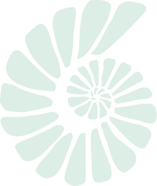 Illustration of a stylized spiral shell with segmented pattern.