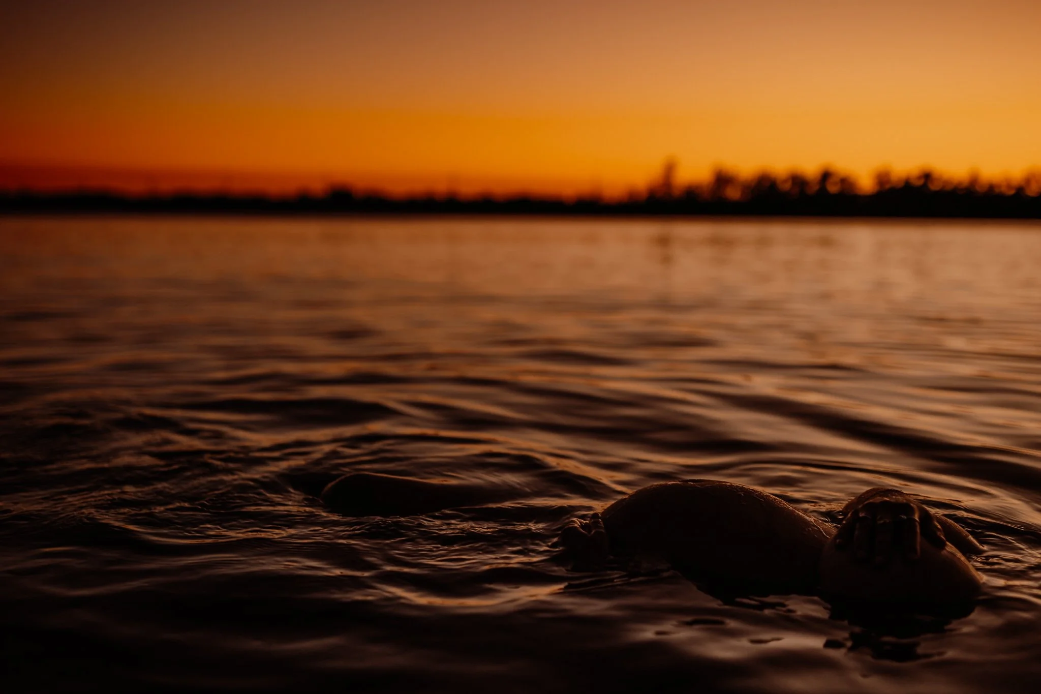 Person swimming in the water during sunset with a colorful sky in the background.