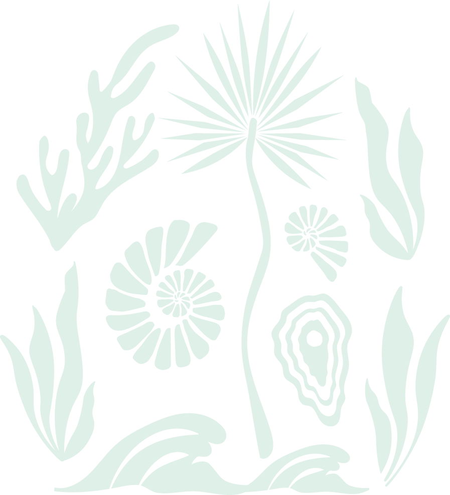Stylized ocean illustration featuring various plants, flowers, ocean waves and shells and leaves against a black background.