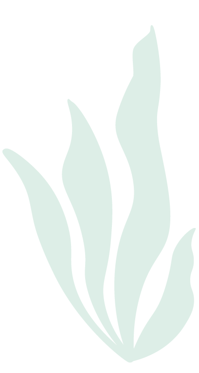 Simplified illustration of an abstract plant or leaf with elongated, curved shapes.