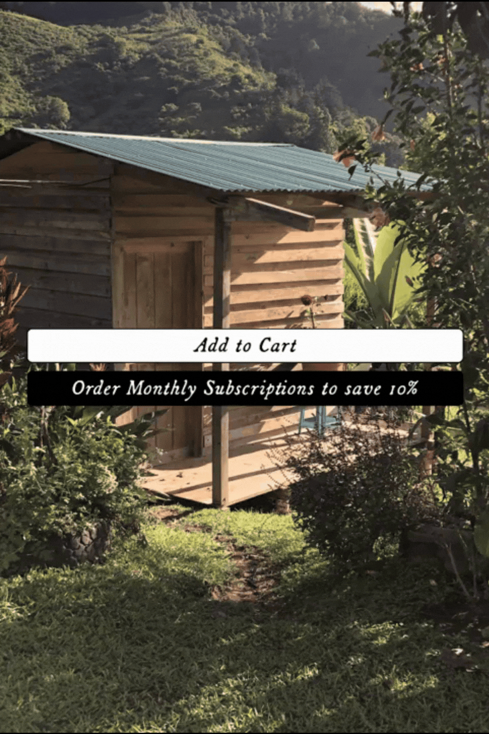Working around Squarespace’s one subscription per cart limit