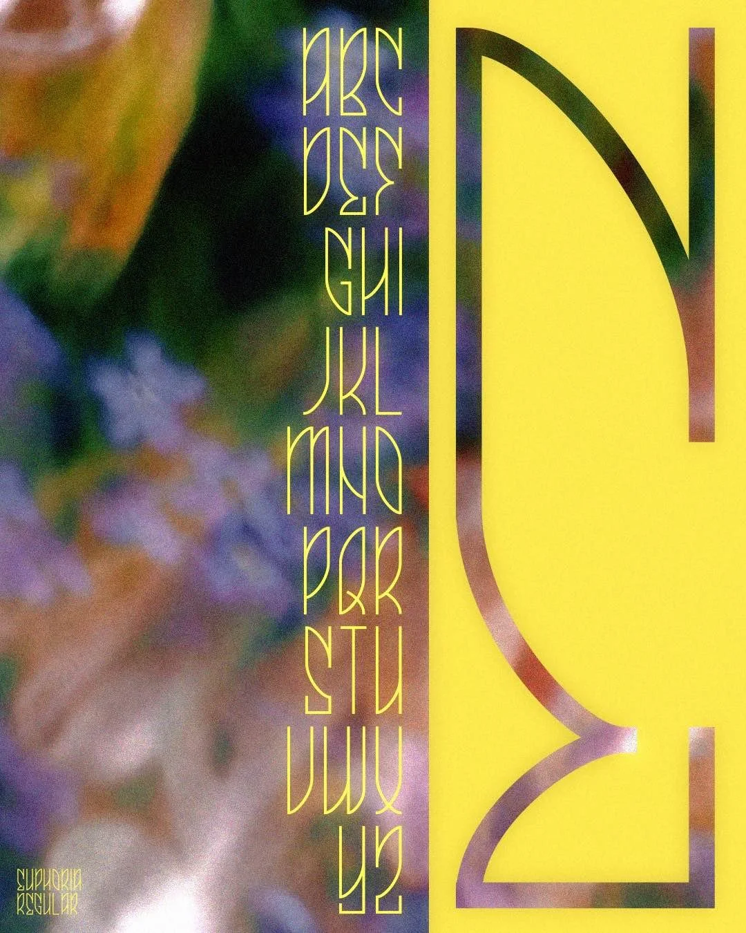 euph type63 regularjpg bloom.jpg