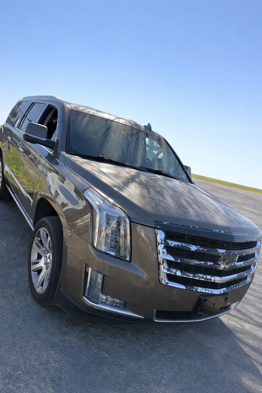 JPEG image-42CF-9025-50-0.jpeg