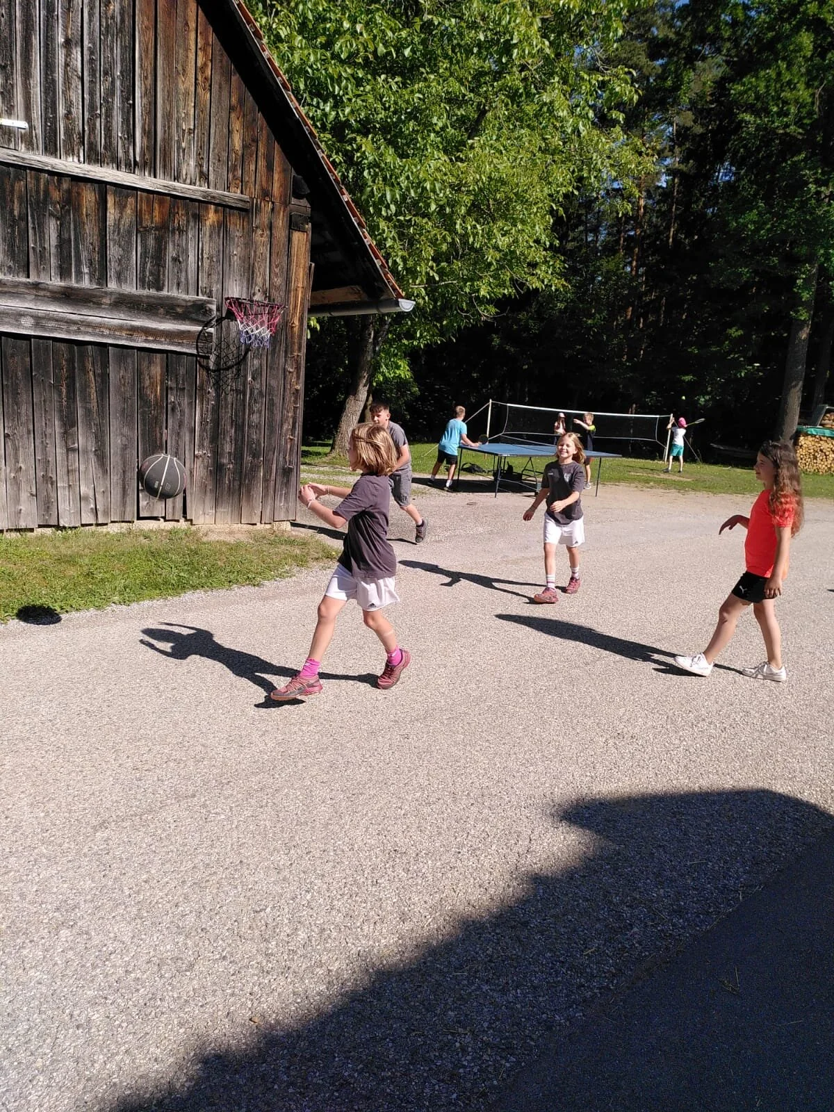 WhatsApp Image 2021-06-16 at 11.53.23.jpeg