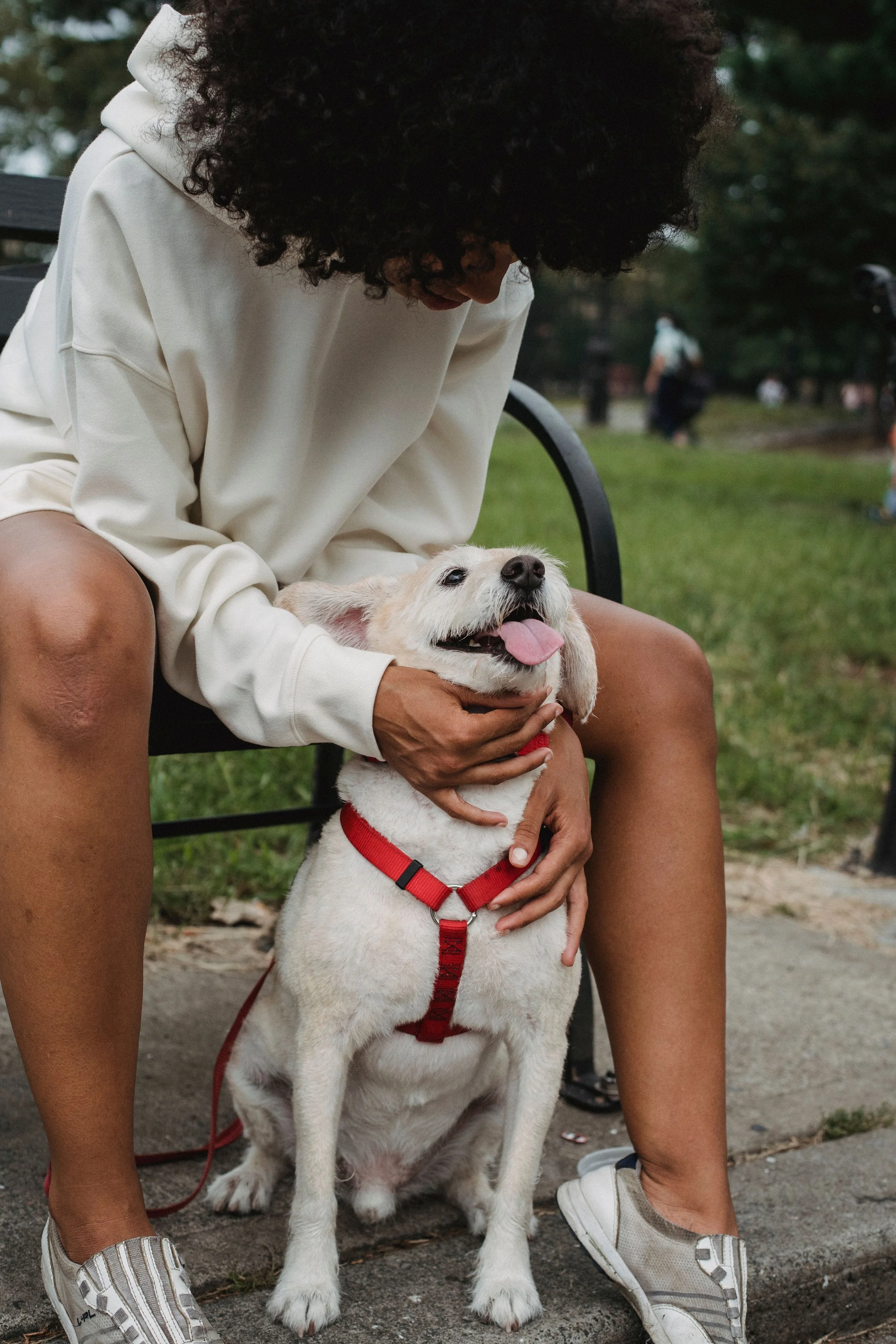 Emotional Support Animal (ESA) Evaluations: What to Expect