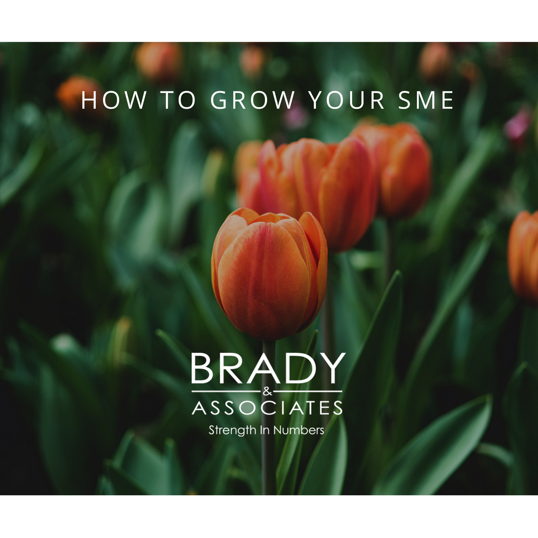 How to grow and scale your SME