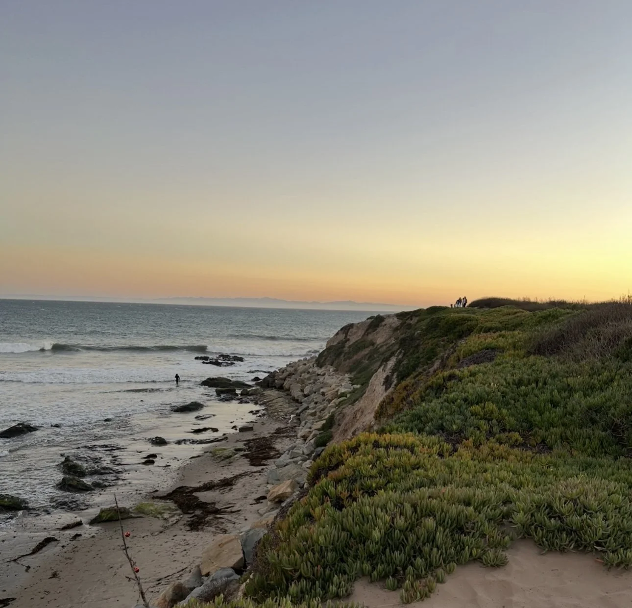 Calming coastal landscape used on Aide Pathways website.