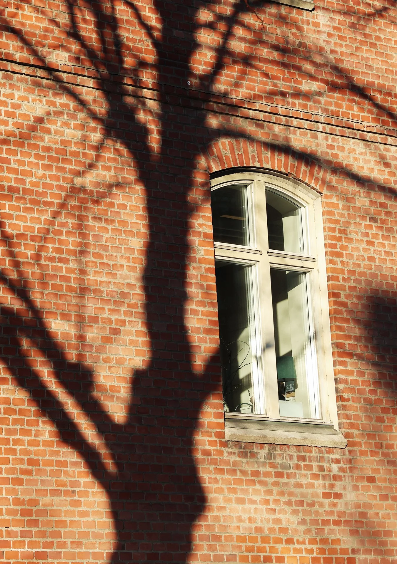 Skuggan av ett träd på fasaden till Stella Barn & Ungdom.