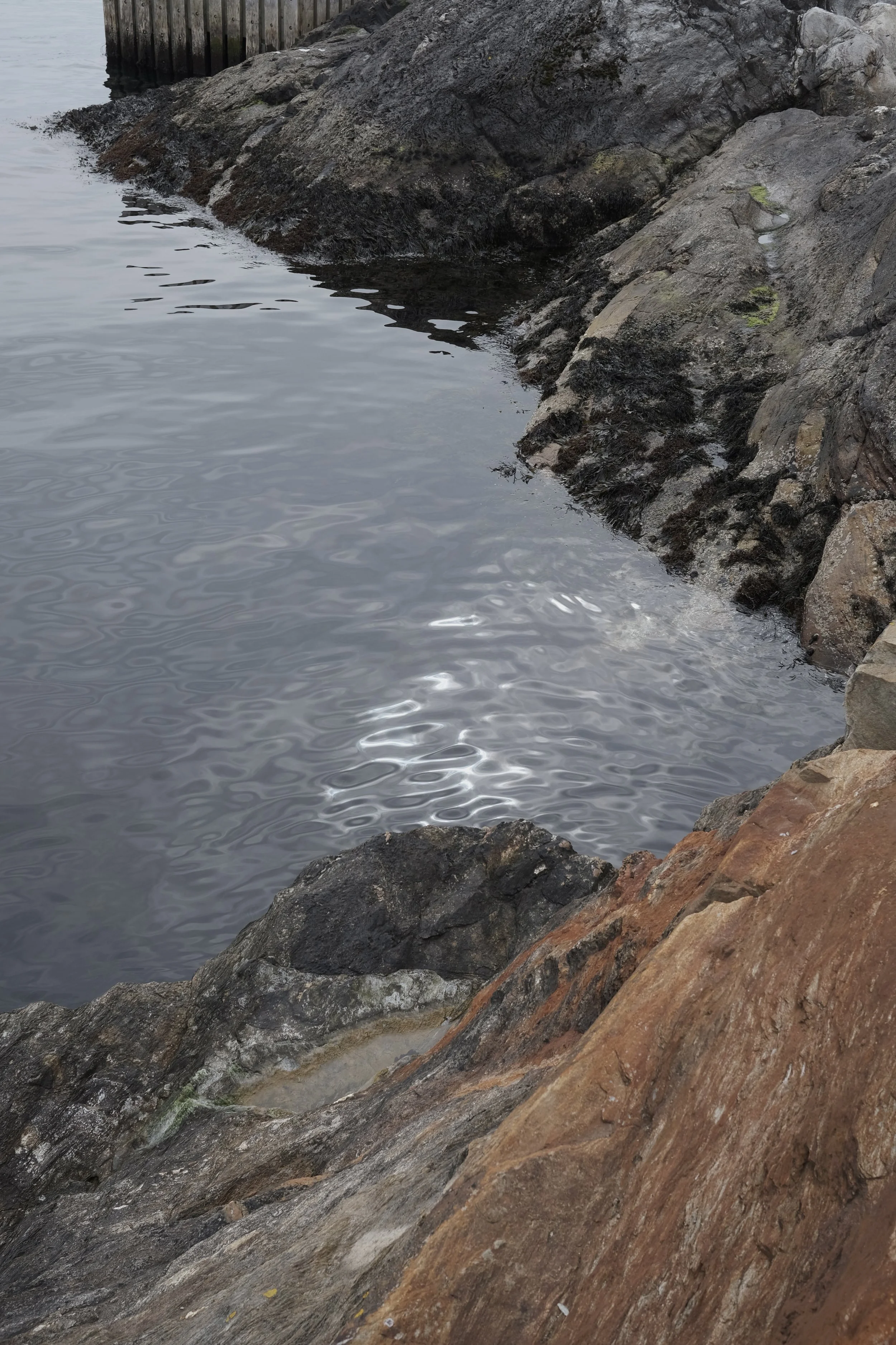 Inspiration photography of rocks at the ocean