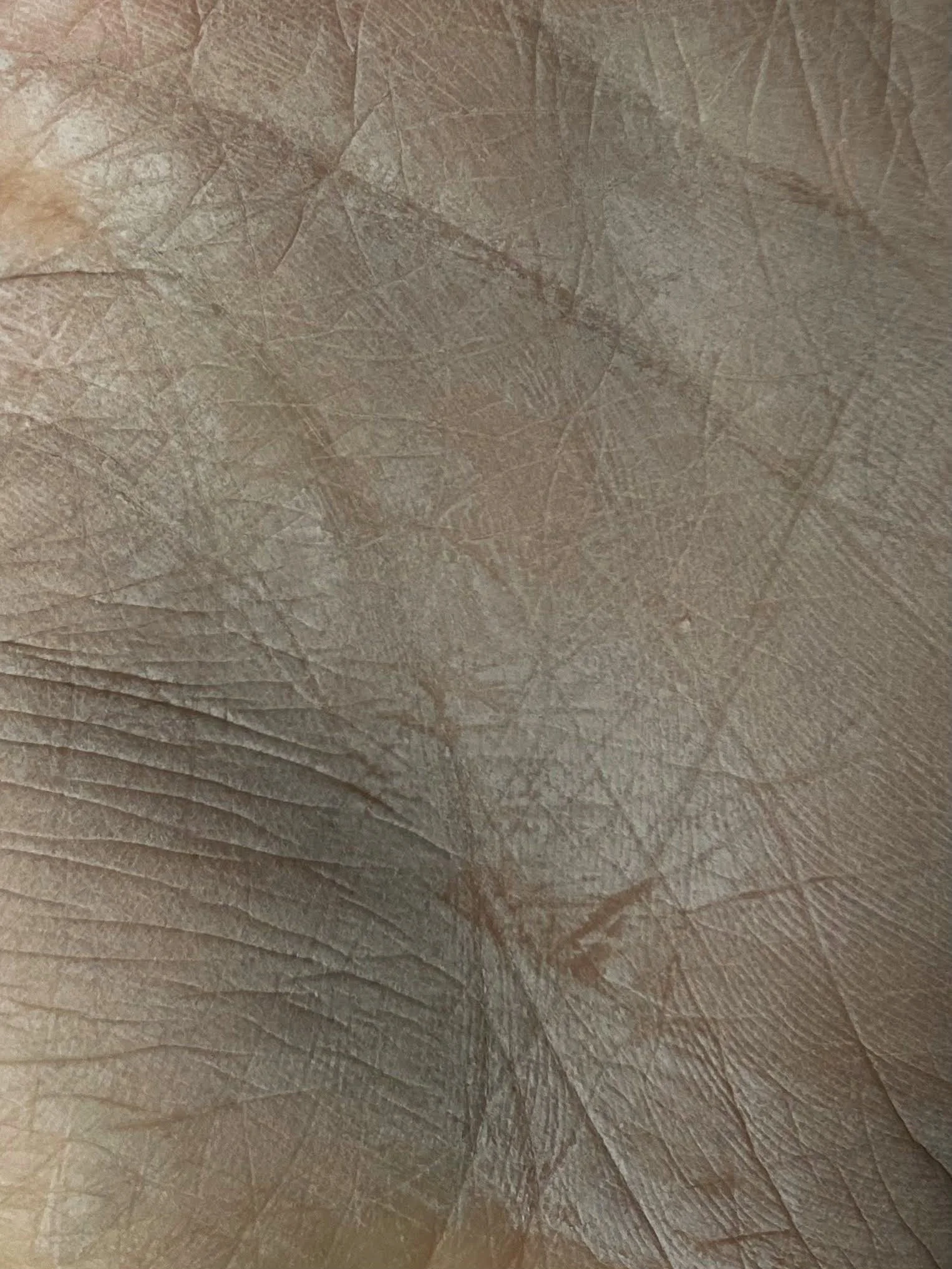 Hand palm of the potter