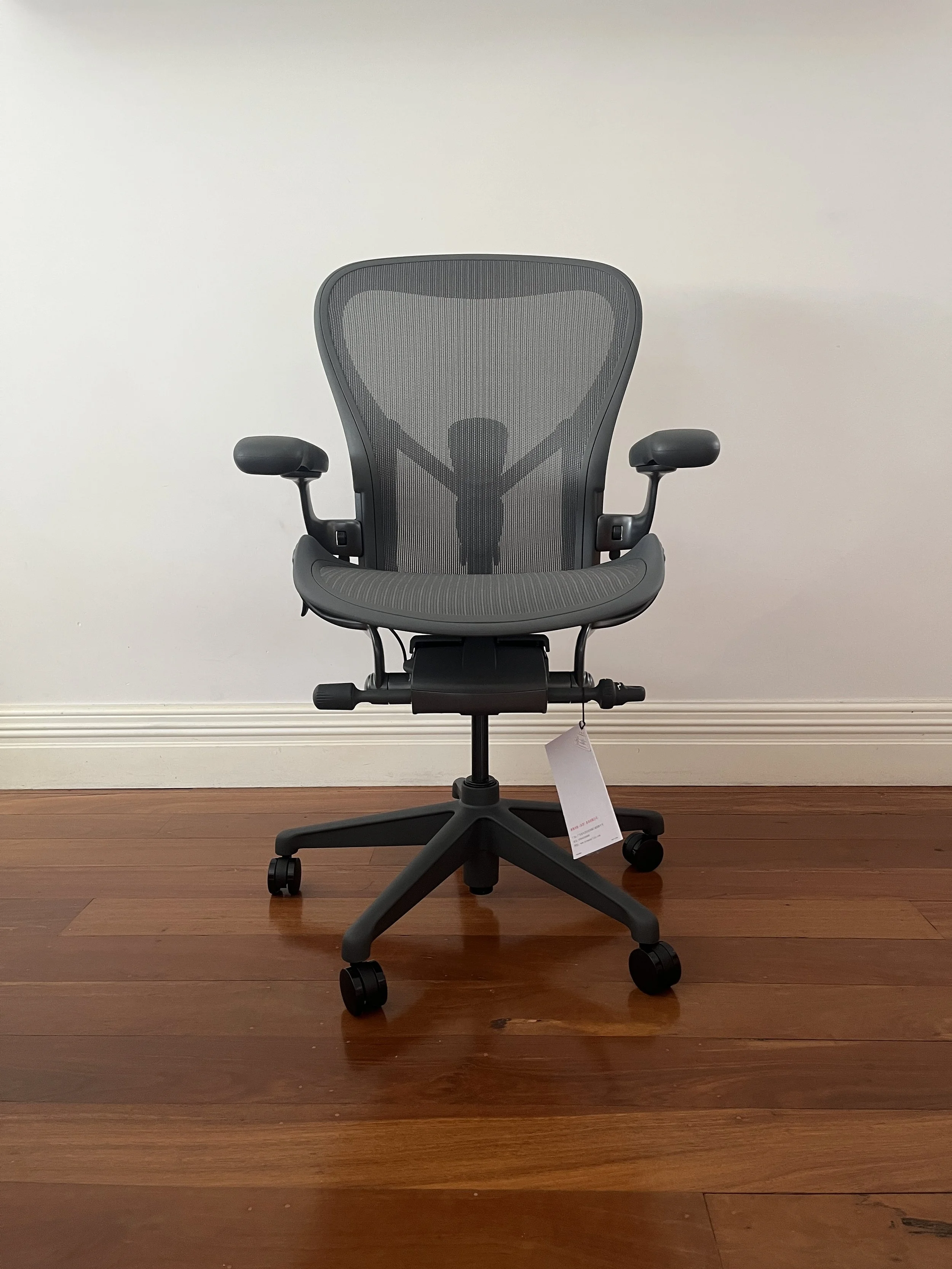 Herman miller Aeron onyx.JPG