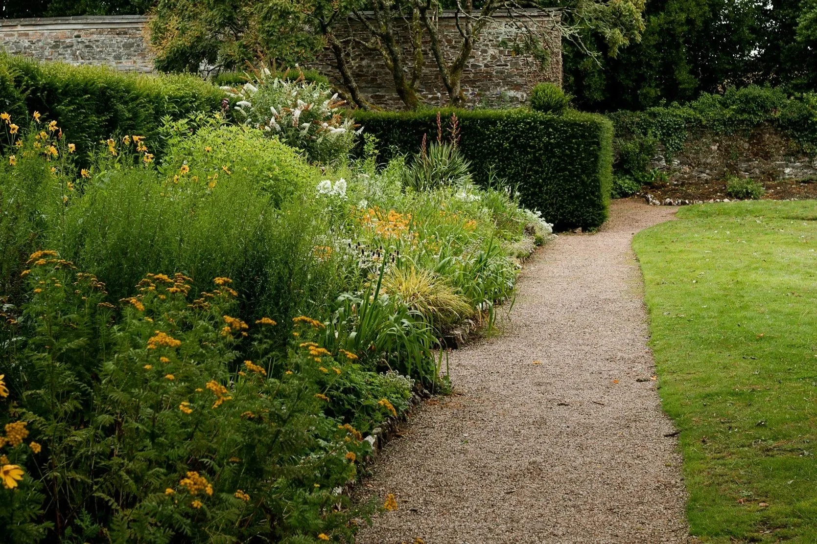 A gravel garden path running through a lush garden with various flowers, bushes, and trees.
