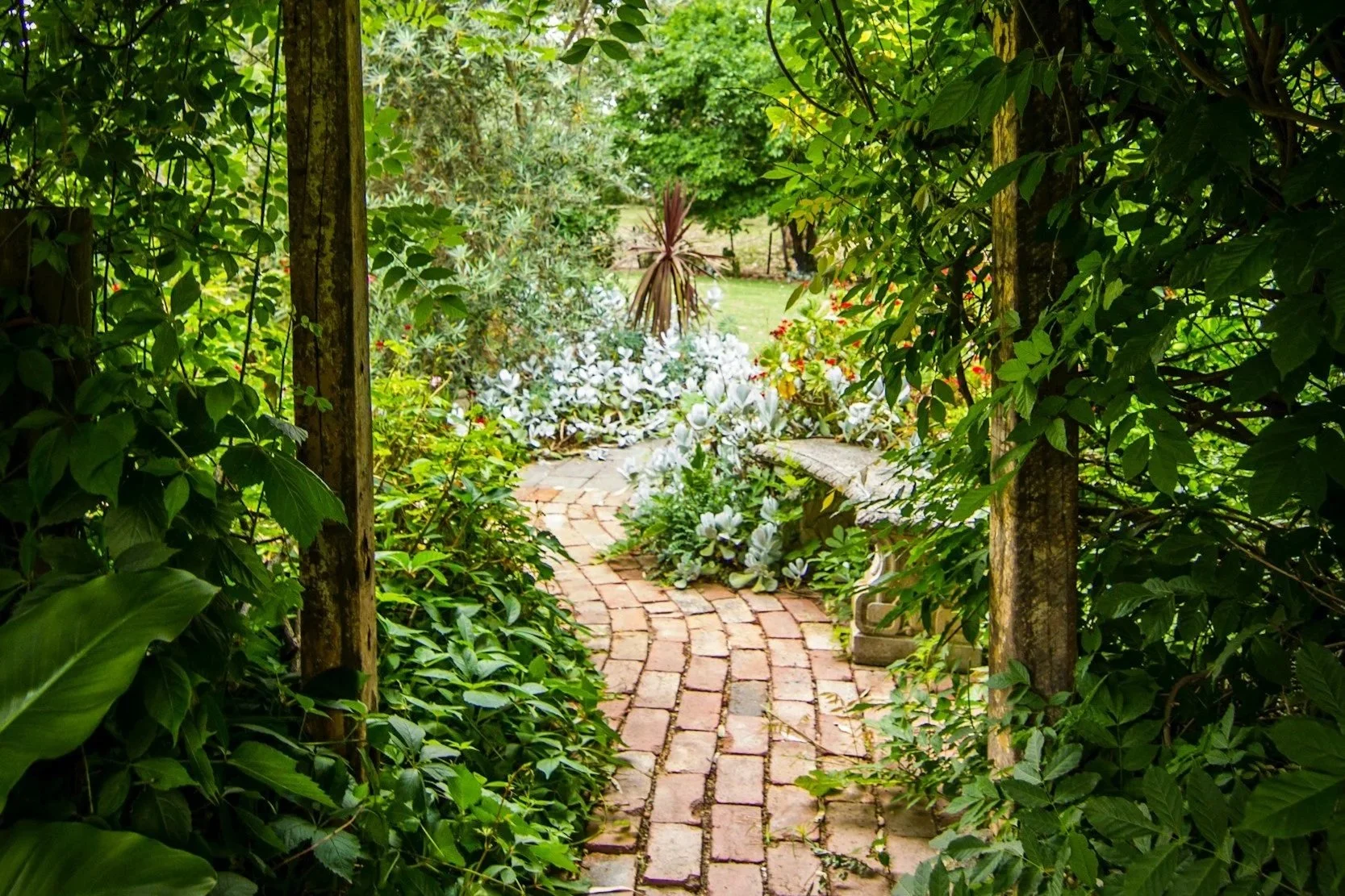 A winding brick path in a lush garden with green foliage, white flowers, and a small bench.