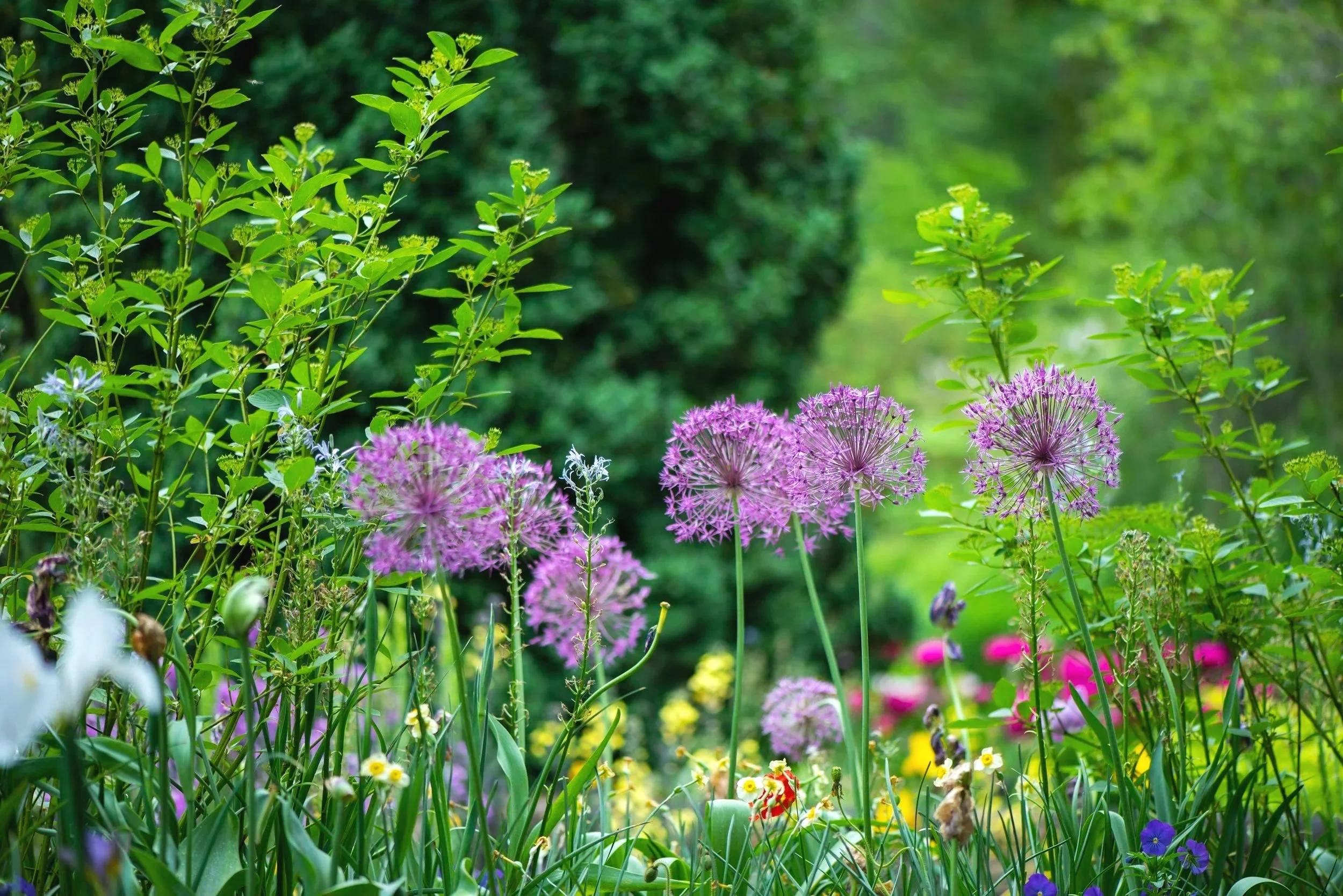 Planting Design
