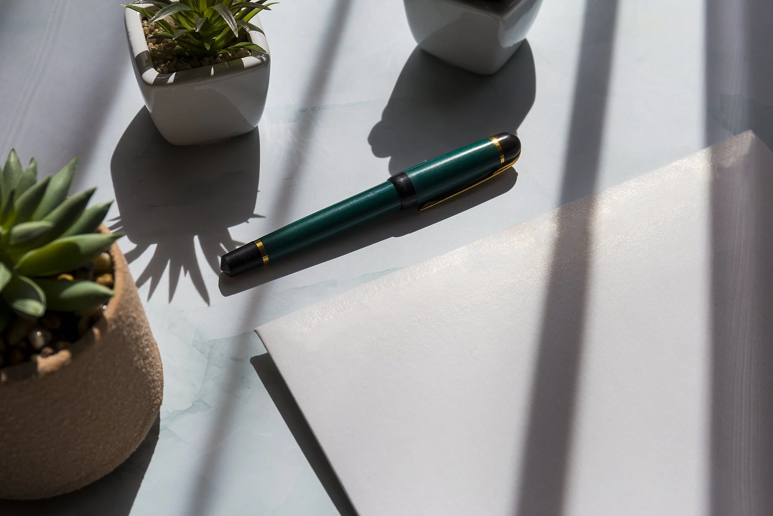 Business & Family Succession Planning