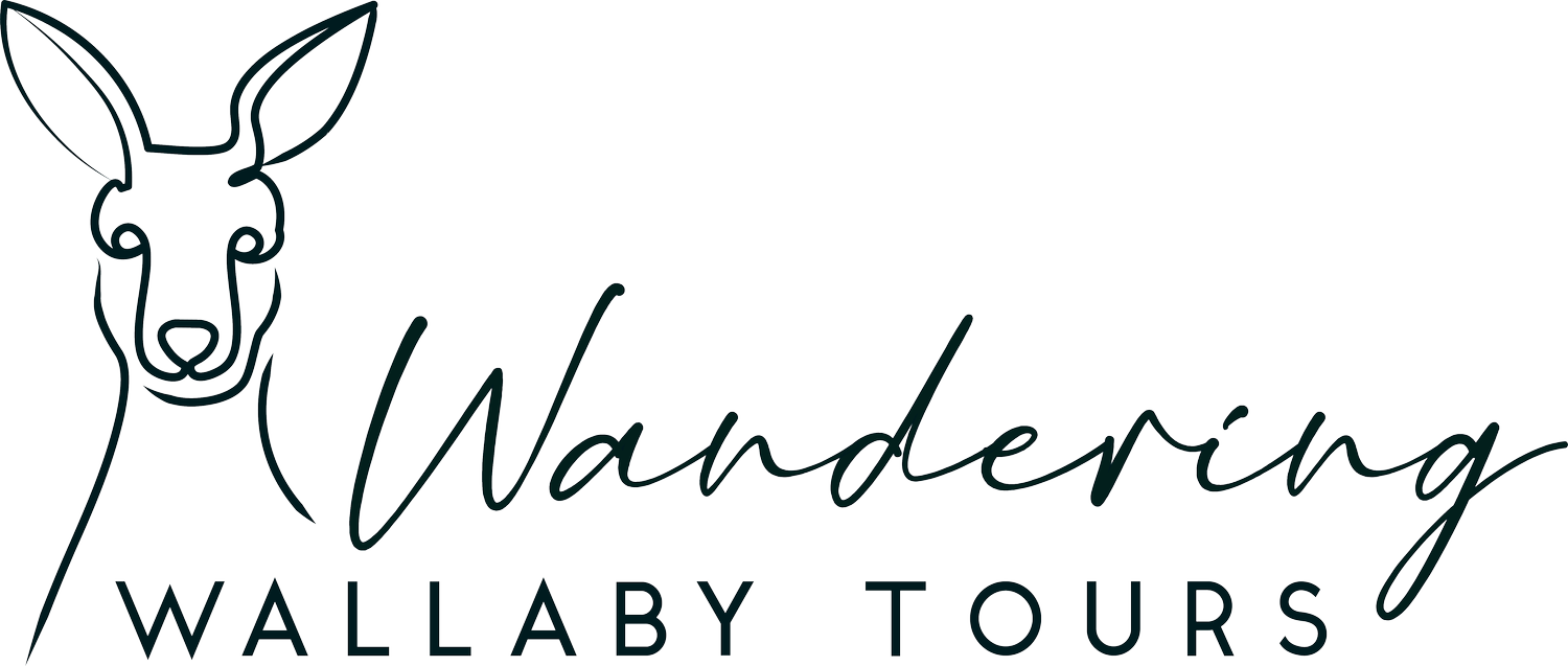Wandering Wallaby Tours