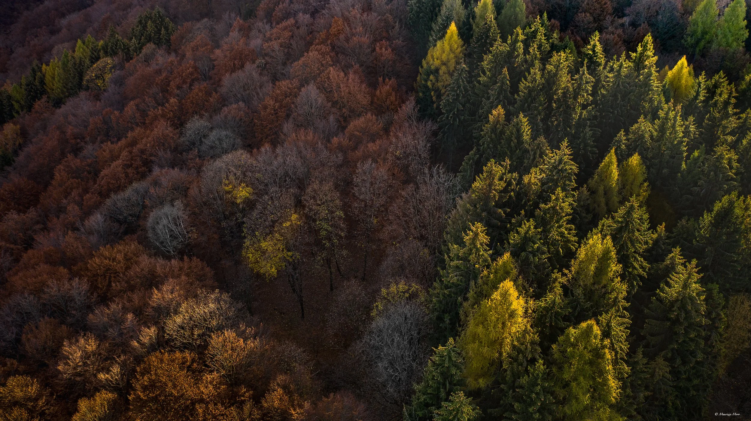 Un grazie a Maurizio Moro per tutte le foto