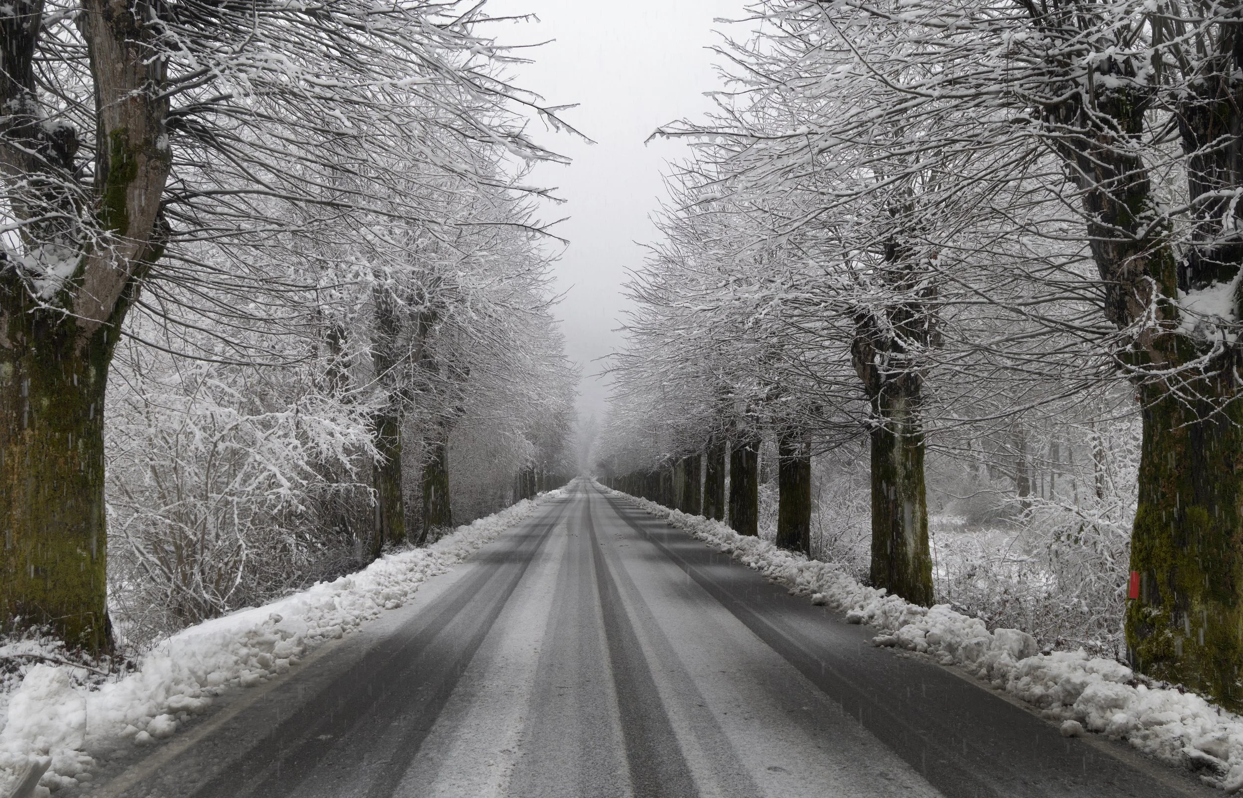 Viale Campione Lanzo.jpg