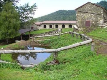 Societa° Agricola Semplice Pian D' Orano