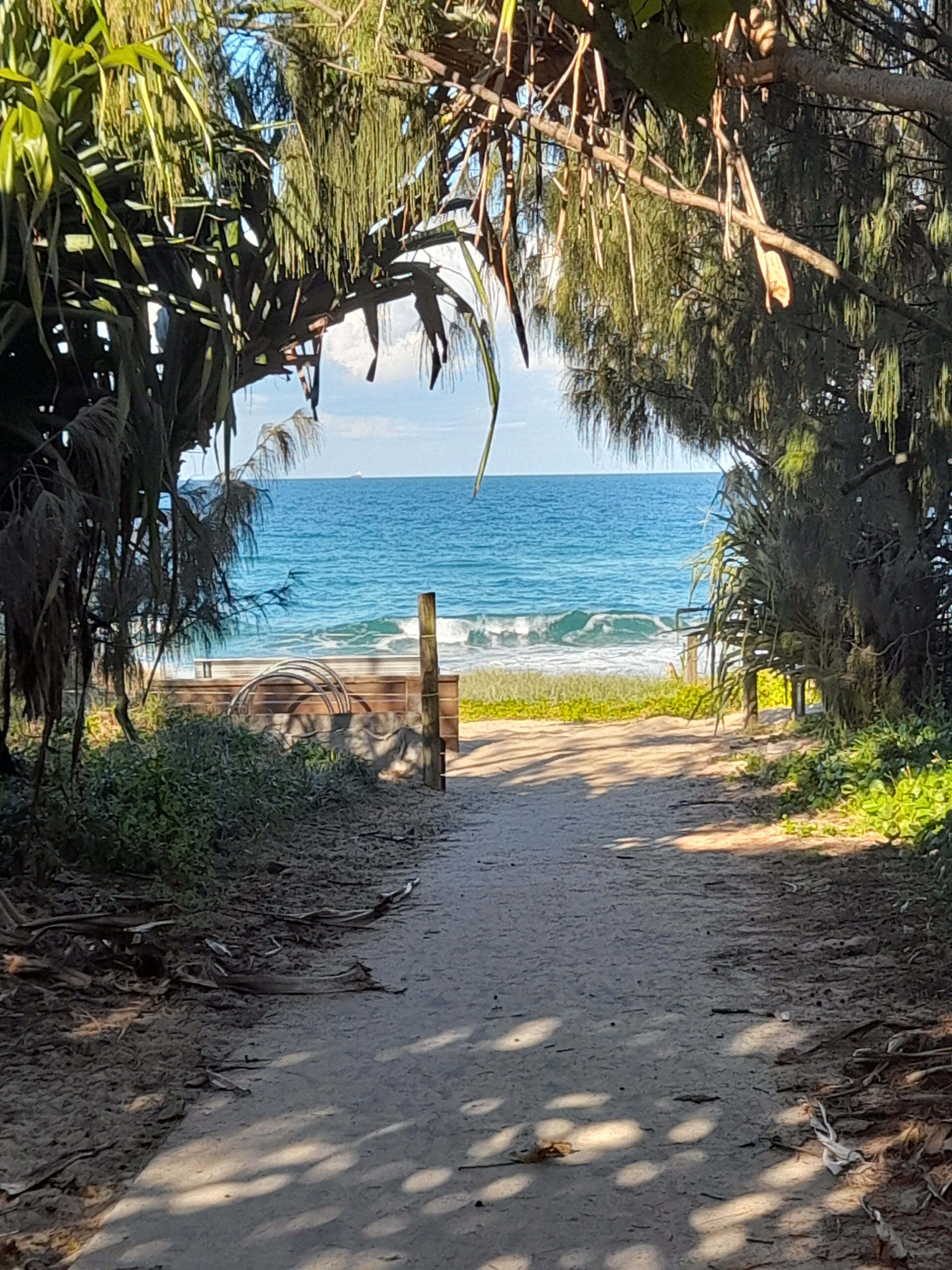 View of the ocean through a framed sandy pathway with leafy trees and vegetation on both sides, leading to a beach with gentle waves and a clear sky.