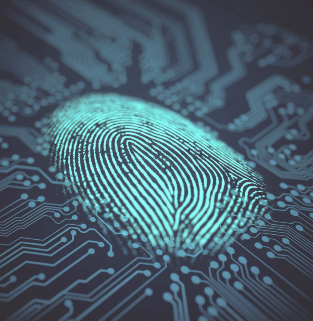 AutoBorder at Darmstadt Biometrics Week 2026