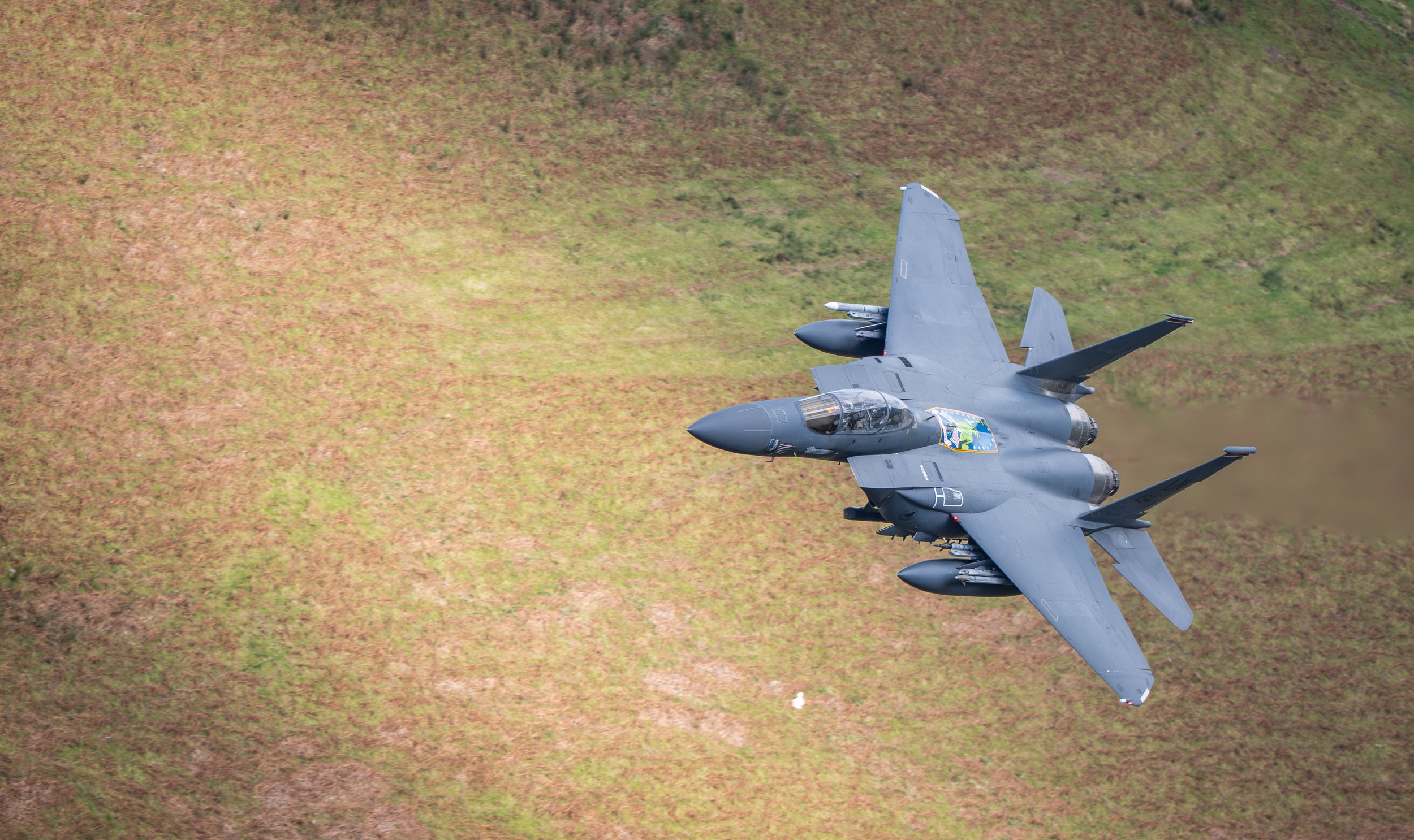 An F-15 fighter jet flying at low altitude over a grassy area.