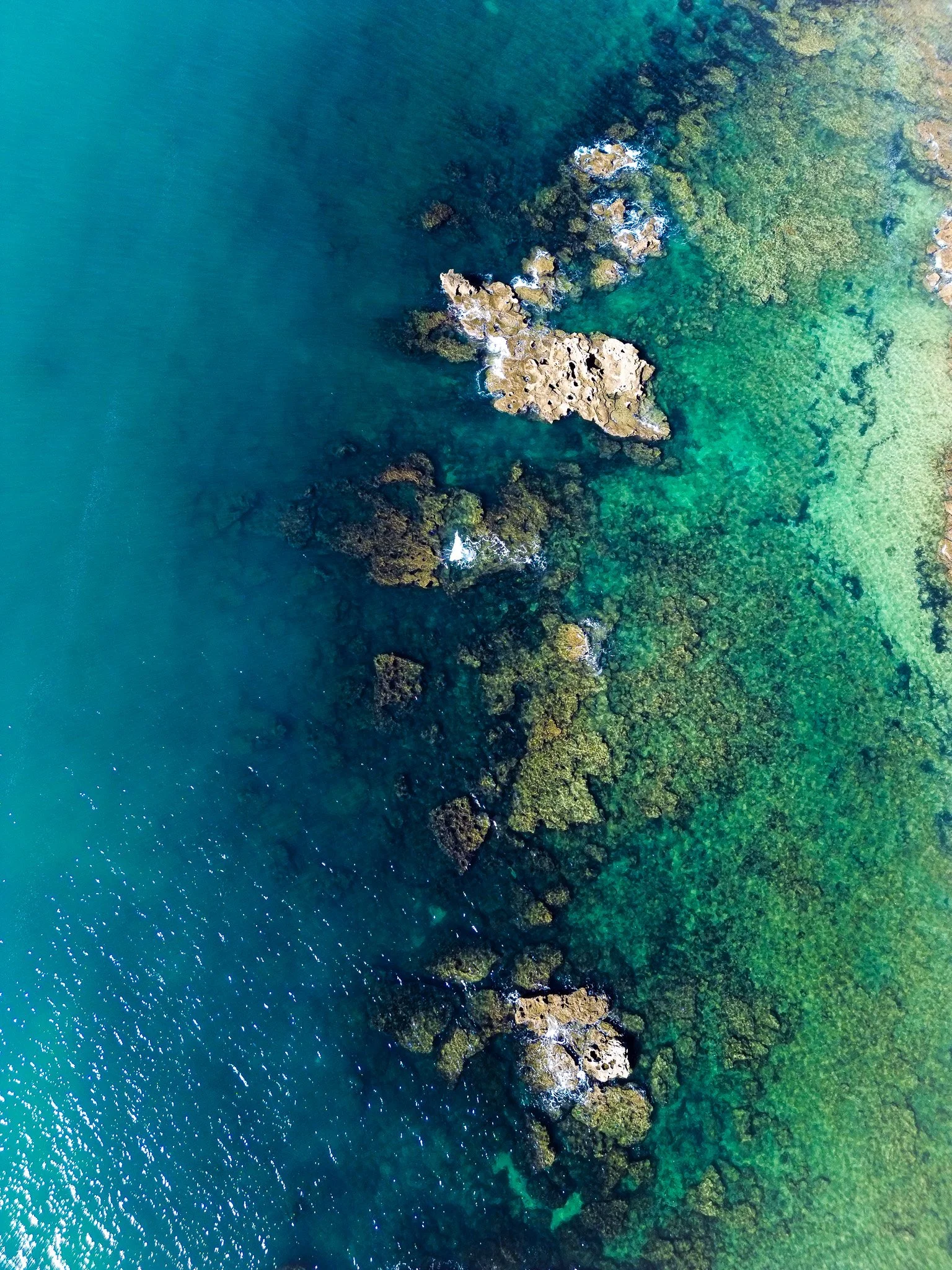 An aerial view of a rocky coastline with clear turquoise water and underwater vegetation.