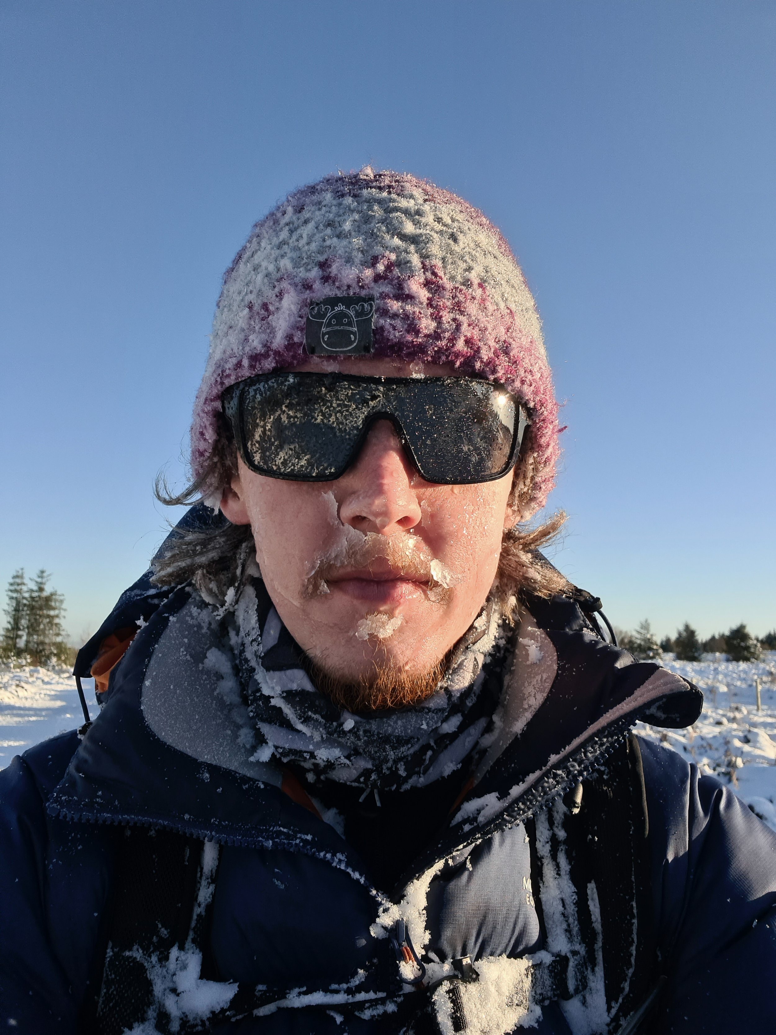 A person wearing a pink knit hat with a moose patch, black ski goggles, and a black jacket takes a selfie in a snowy outdoor landscape with trees and a clear blue sky.