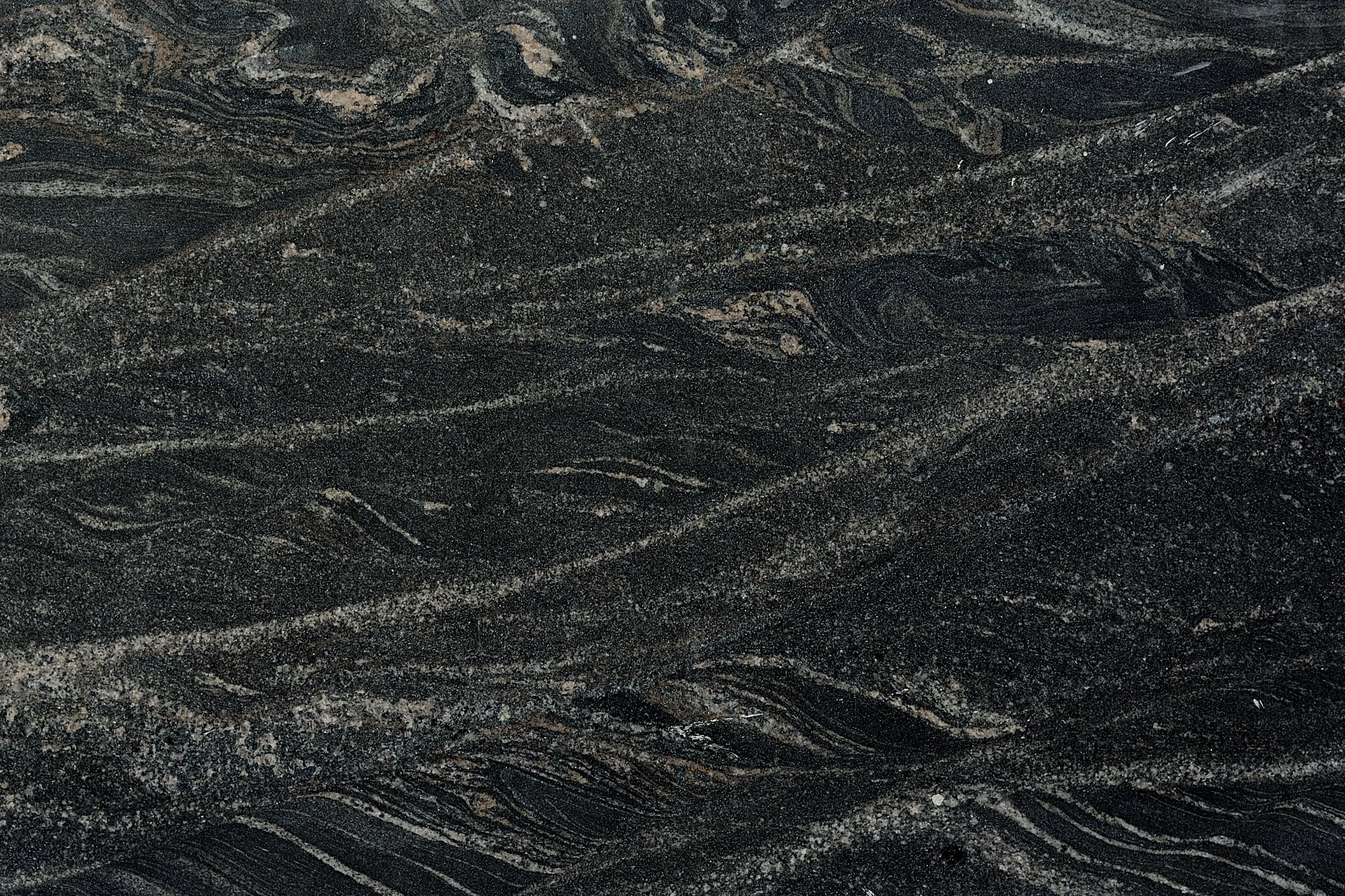 Black-Forest    2.jpg