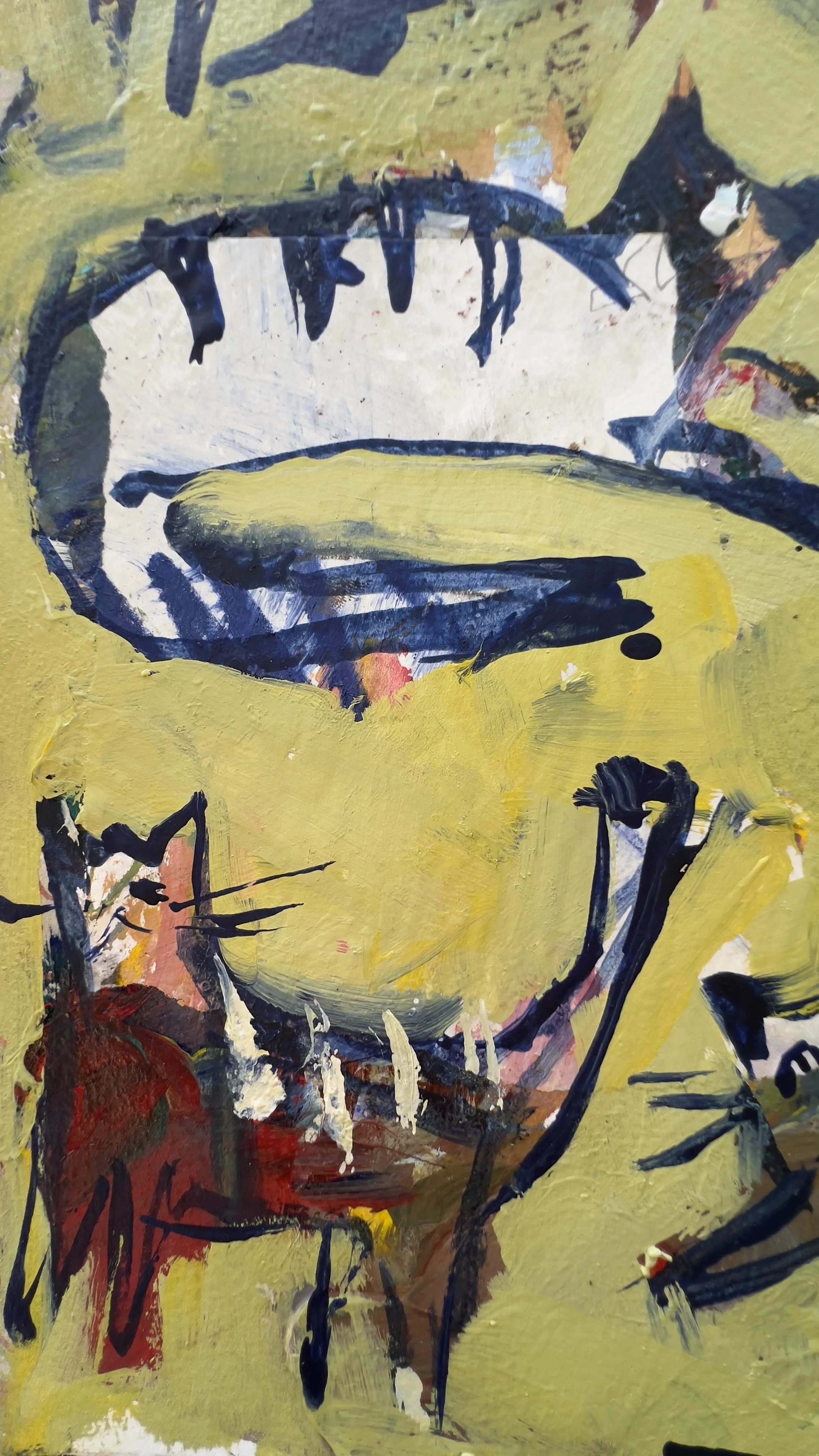 cat_collage_cutouts_6.jpg