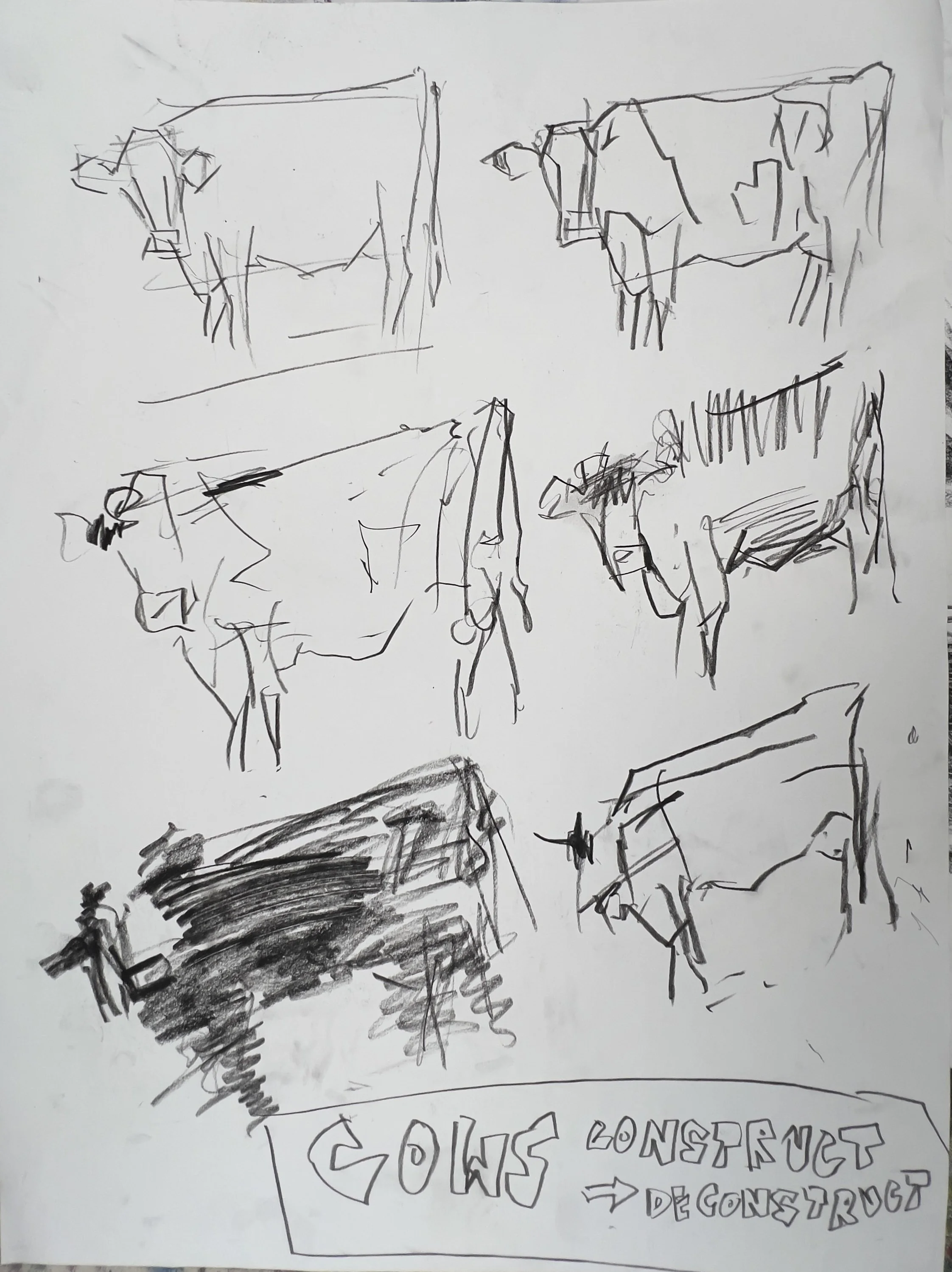 Cow Drawing Progressions