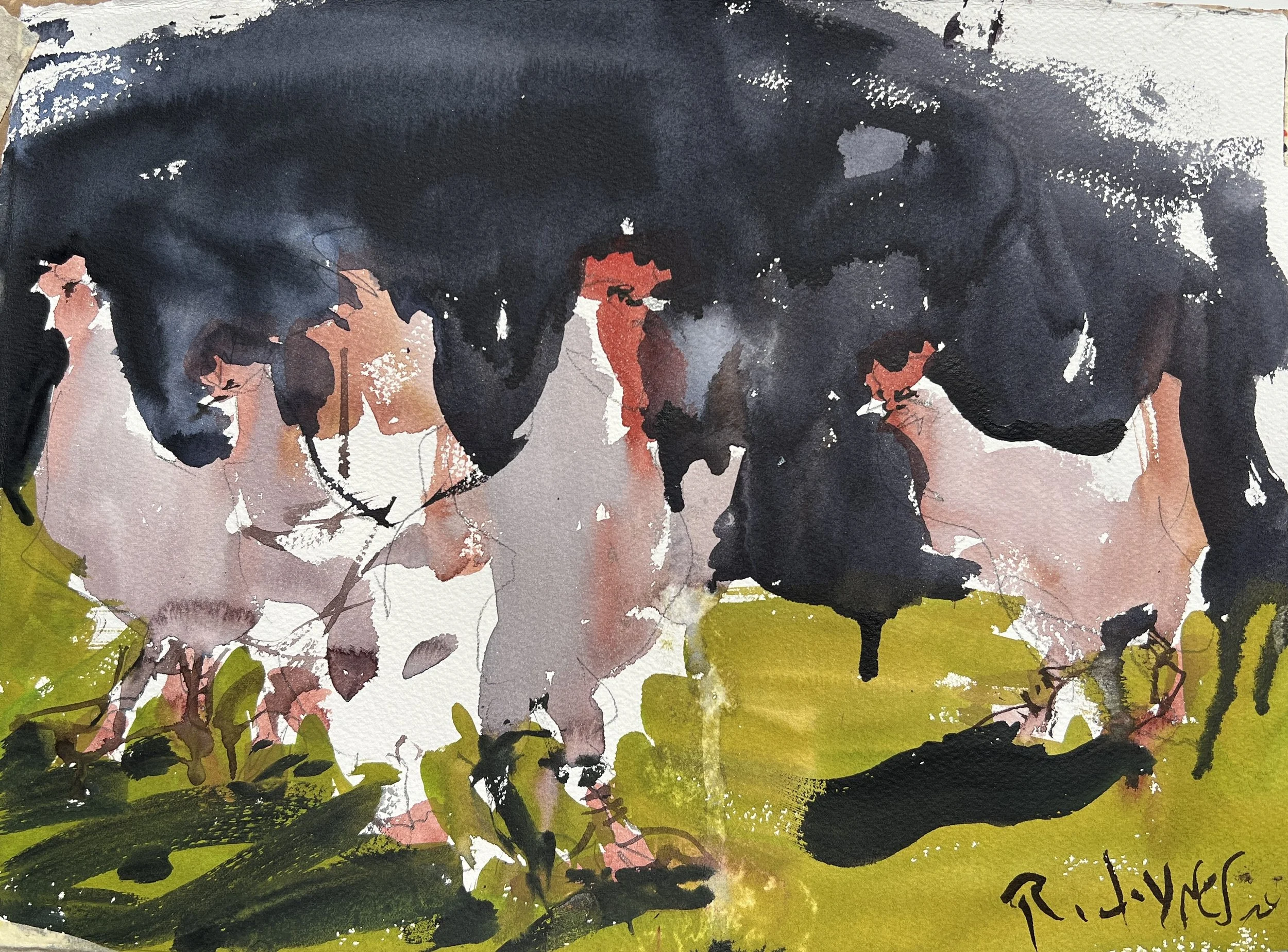 Loose rooster watercolor animal painting