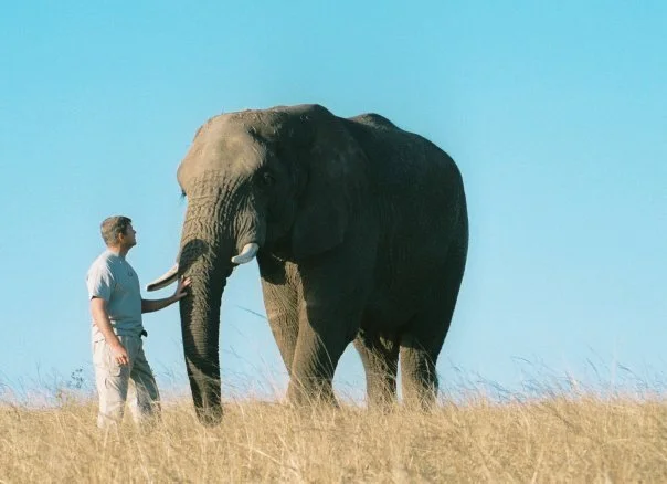 Where it all started