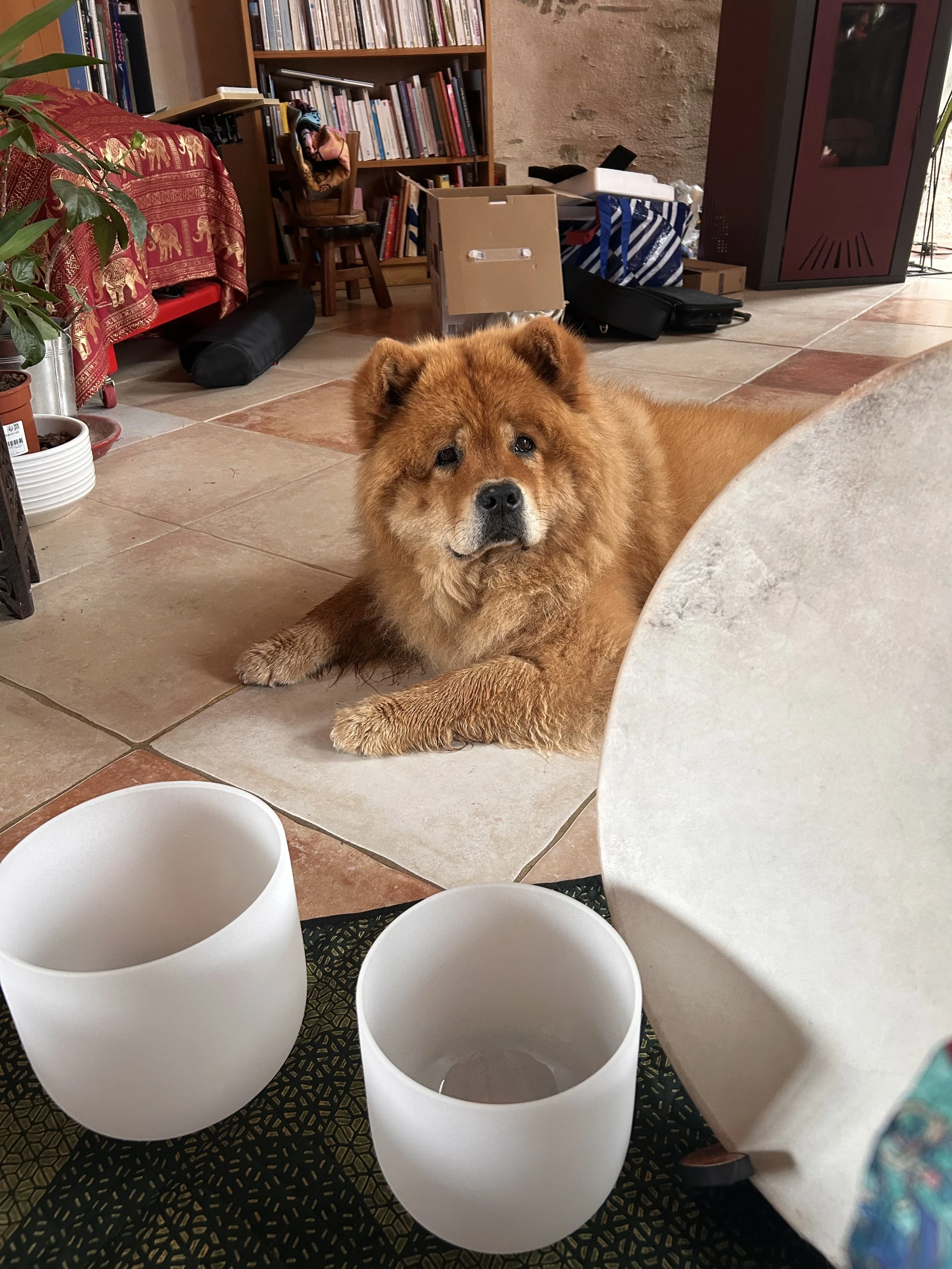 sonothérapie, voyage sonore, bain sonore