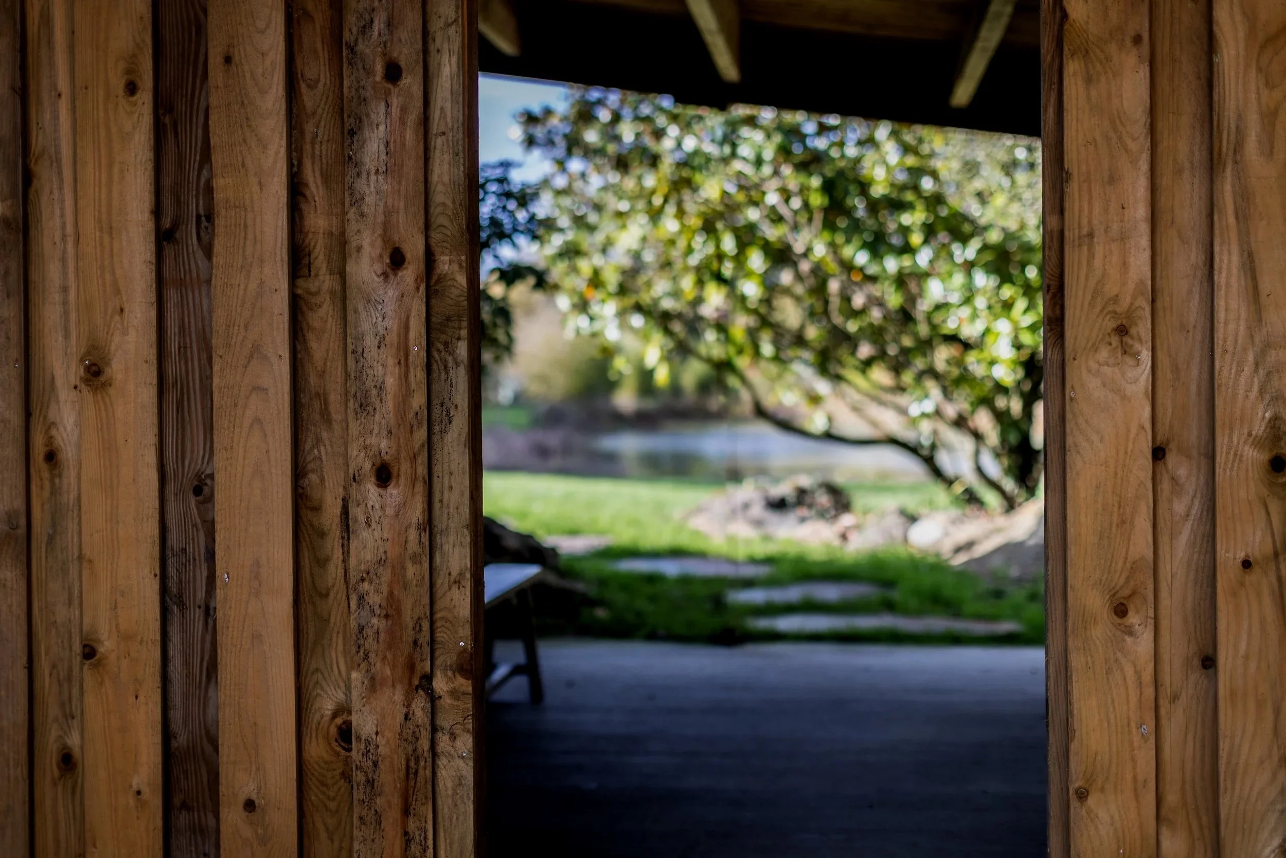 Vue à travers une ouverture dans une structure en bois, montrant un jardin avec un arbre et un étang en arrière-plan.