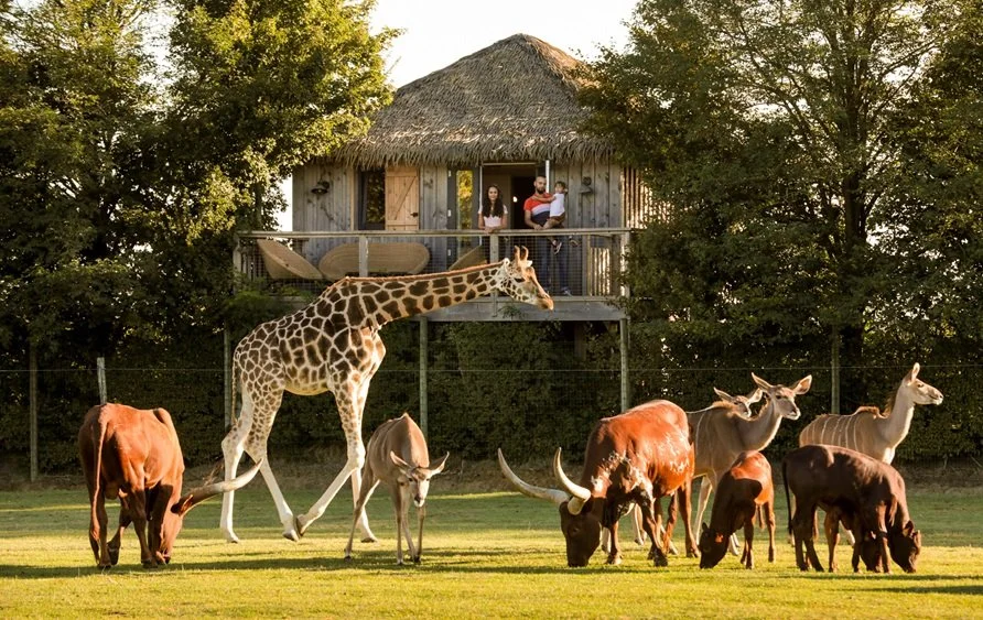 Zoo de la Boissière-du-Doré
