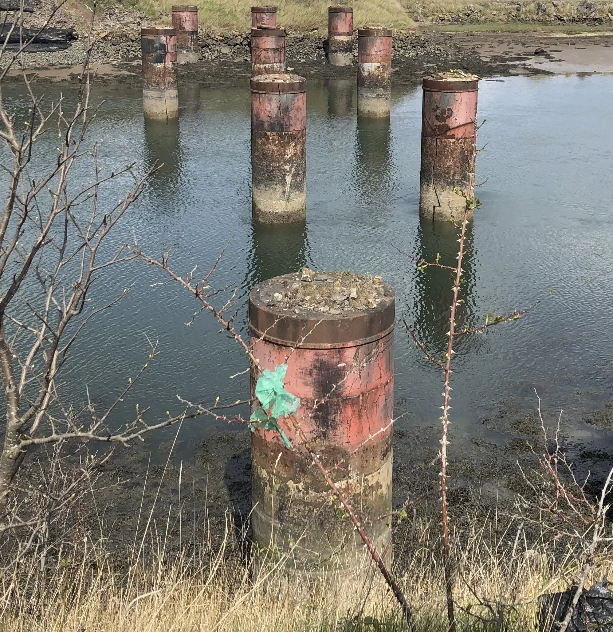 Abstract photo for Stephens future novel showing pillars extruding from a river with brambles in the foreground