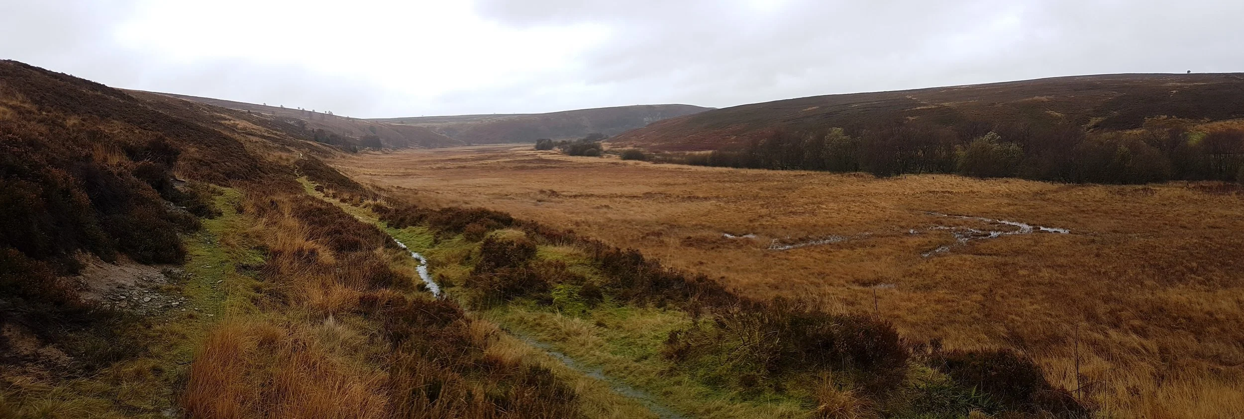 Bog-Time: retreat into writing